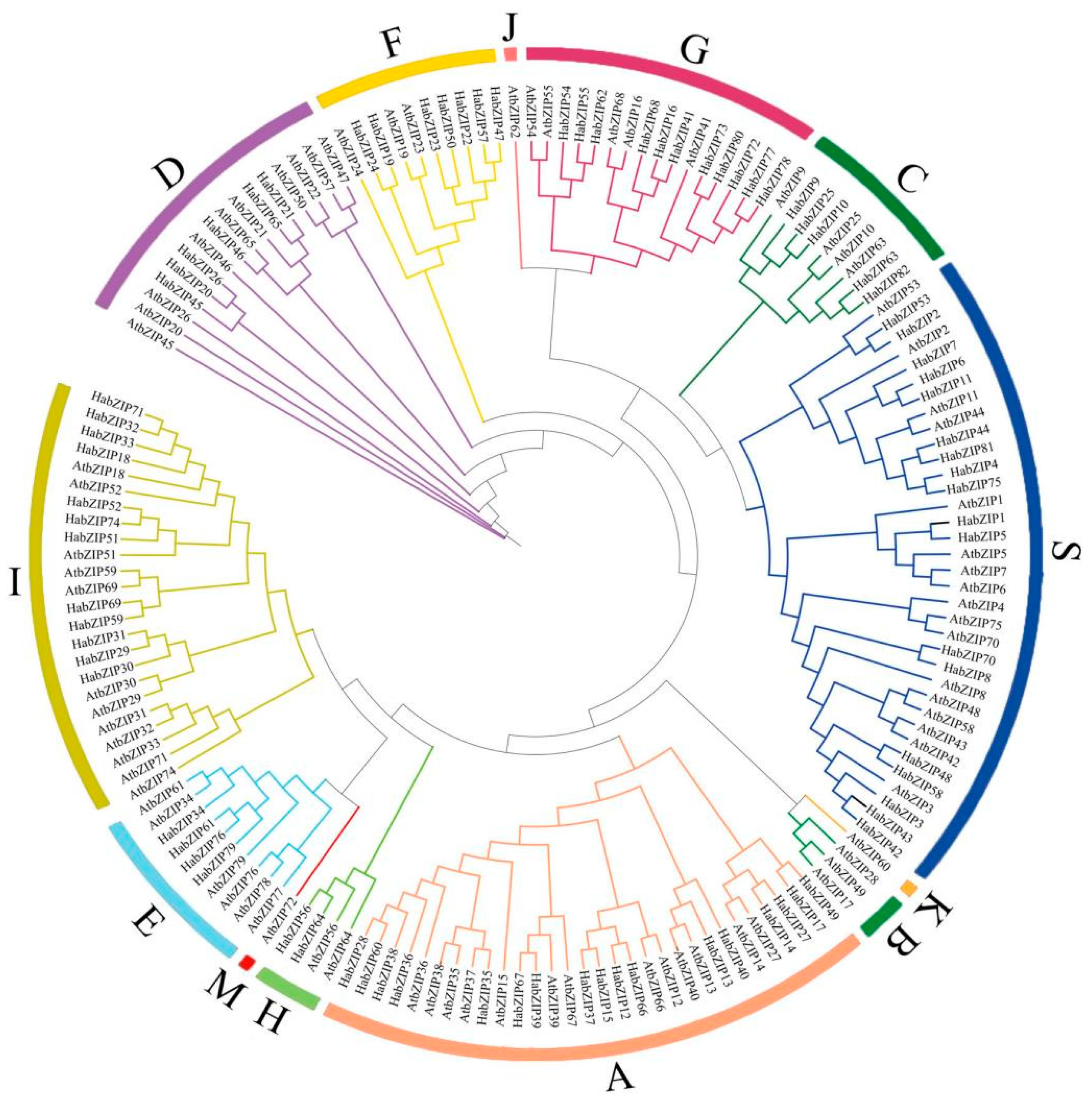 Genes 13 01737 g004 Genes 13 01737 g004