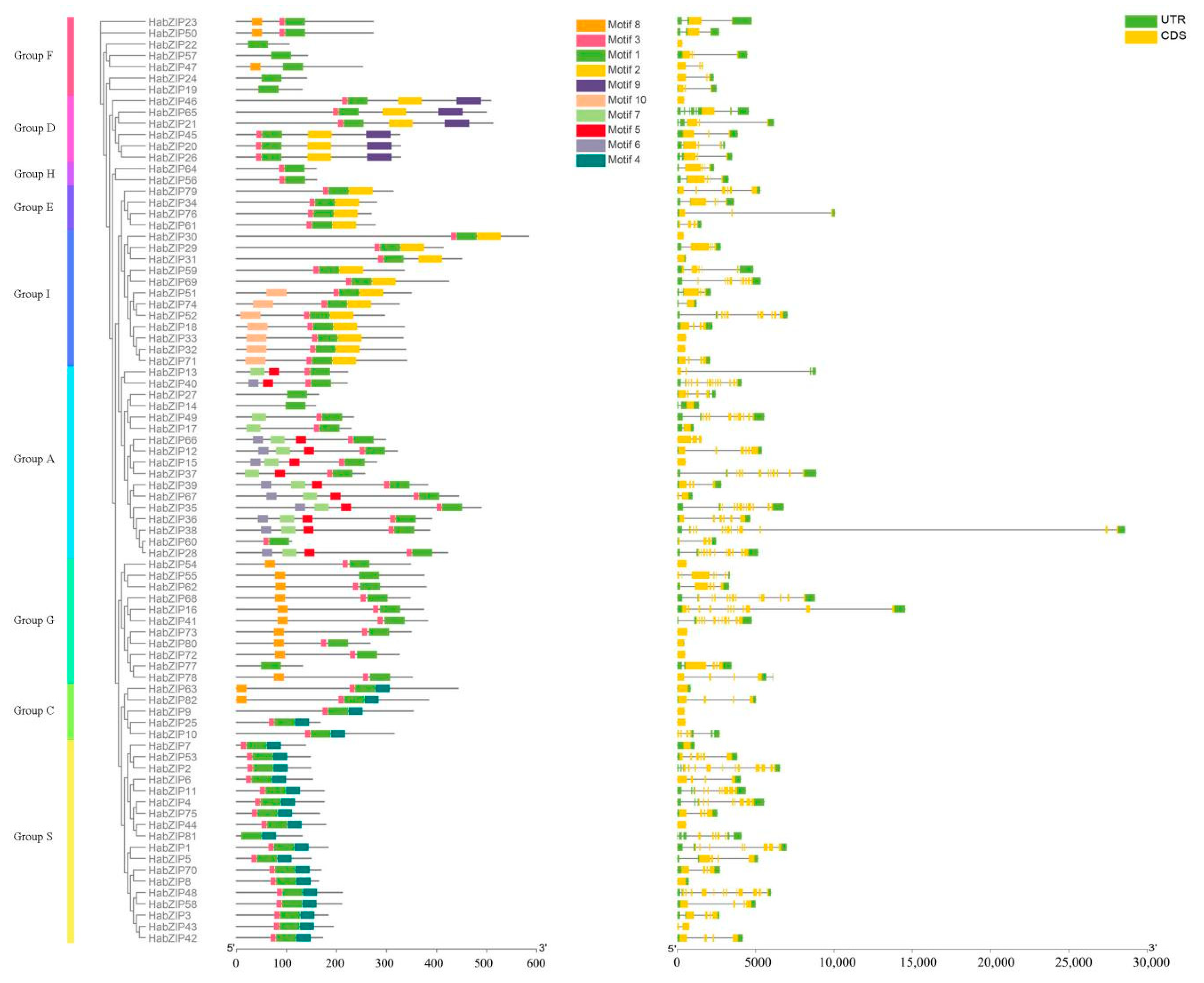Genes 13 01737 g005 Genes 13 01737 g005