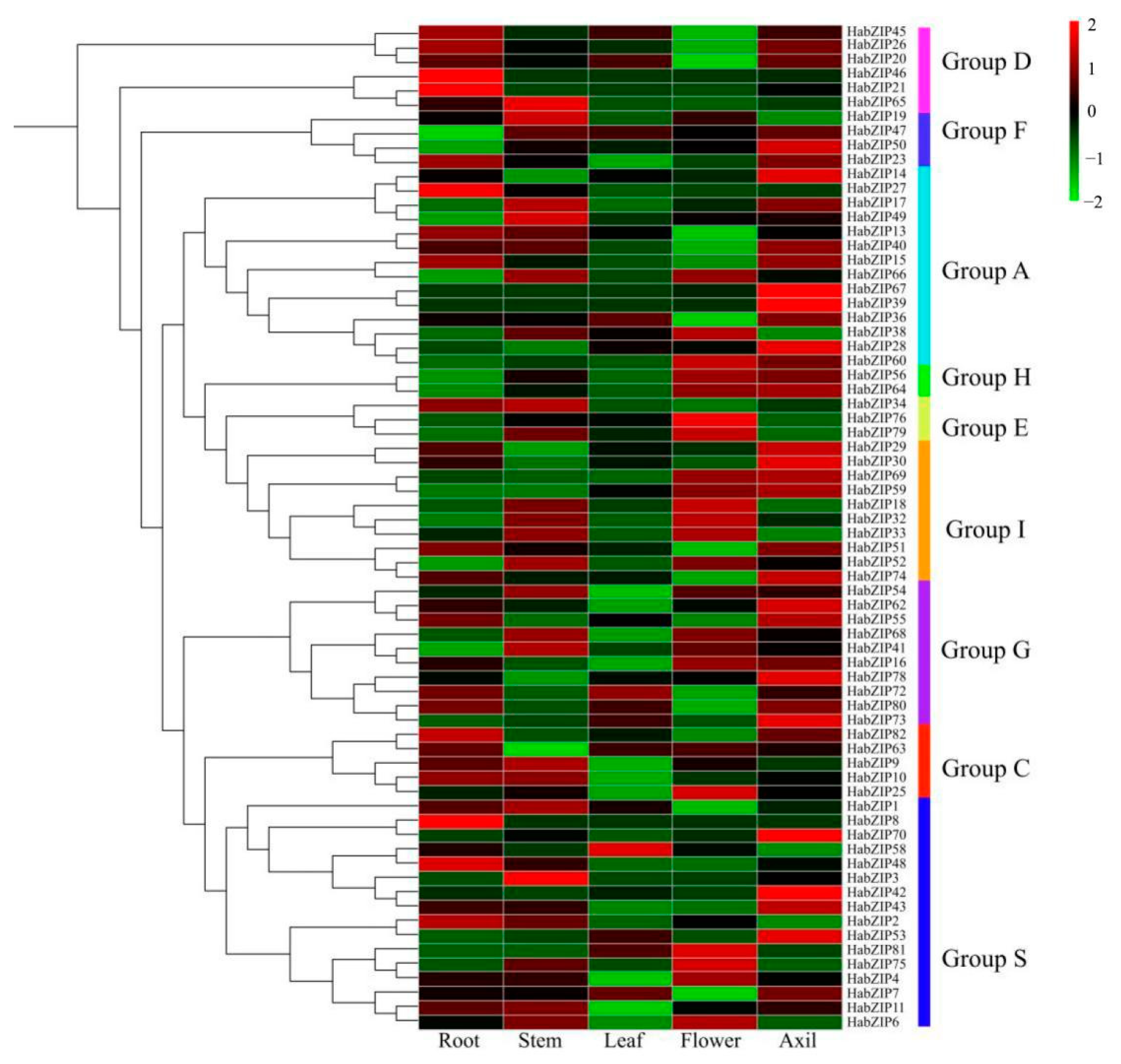 Genes 13 01737 g006 Genes 13 01737 g006