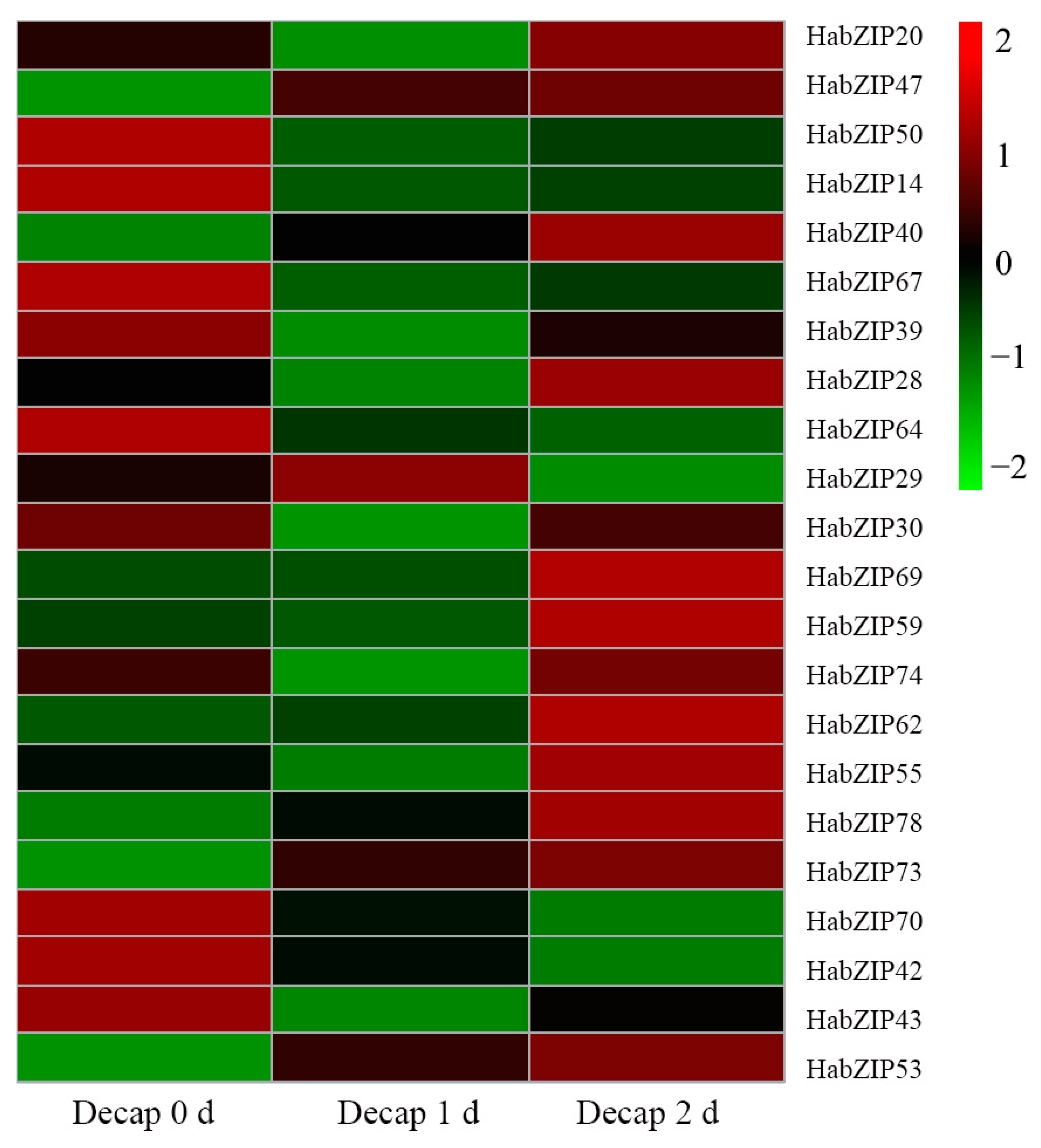 Genes 13 01737 g007 Genes 13 01737 g007