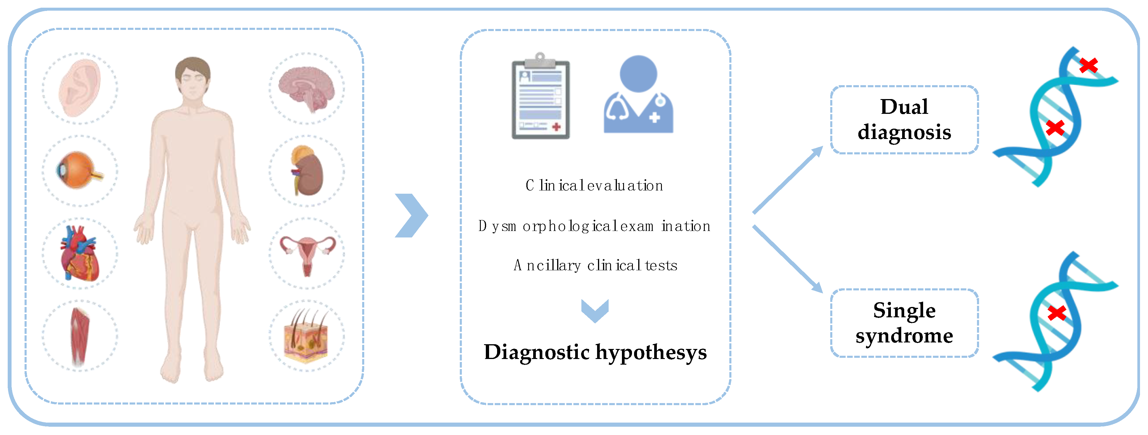 Genes 13 02023 g003 Genes 13 02023 g003