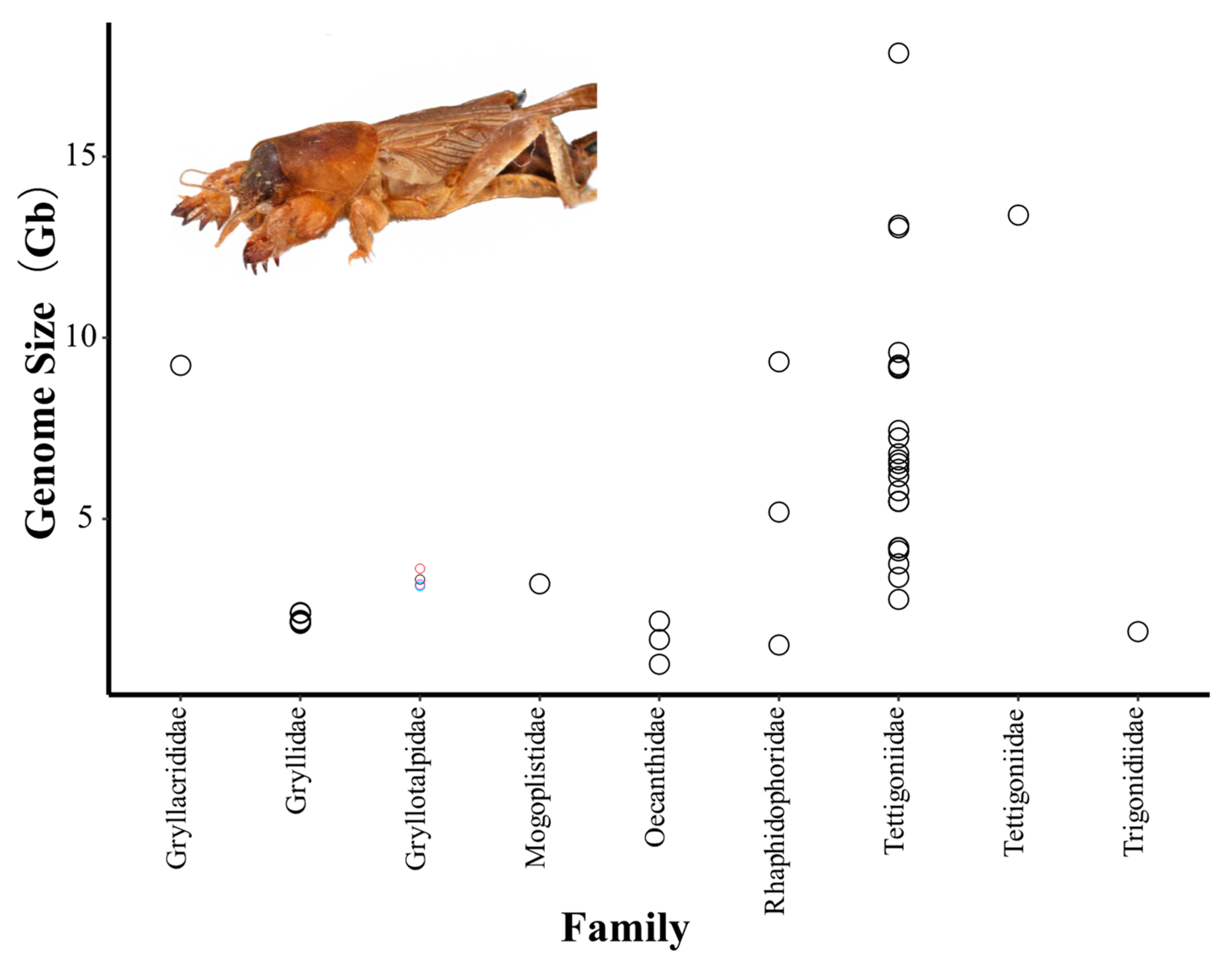 Genes 14 00255 g001 Genes 14 00255 g001