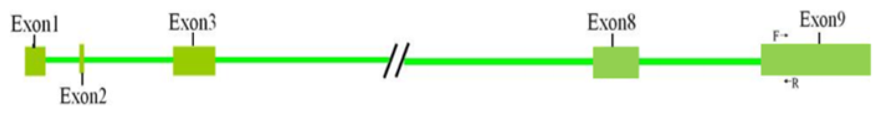 Genes 14 00356 g001 Genes 14 00356 g001