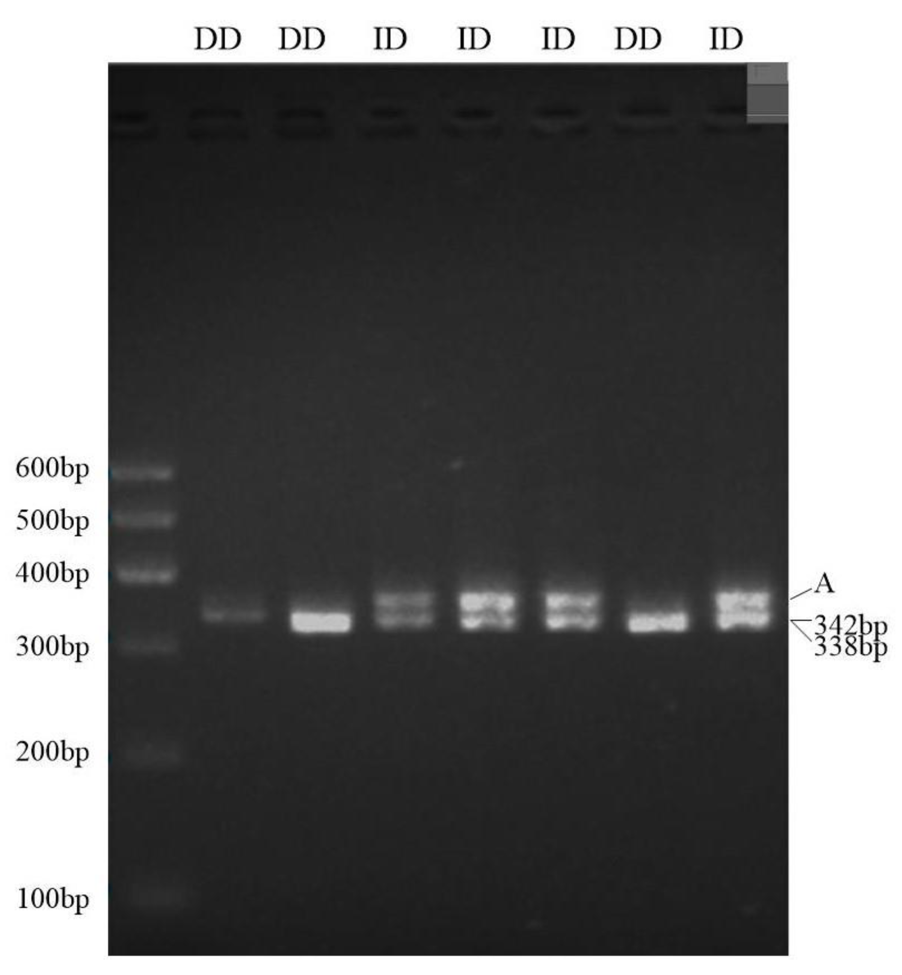 Genes 14 00356 g002 Genes 14 00356 g002