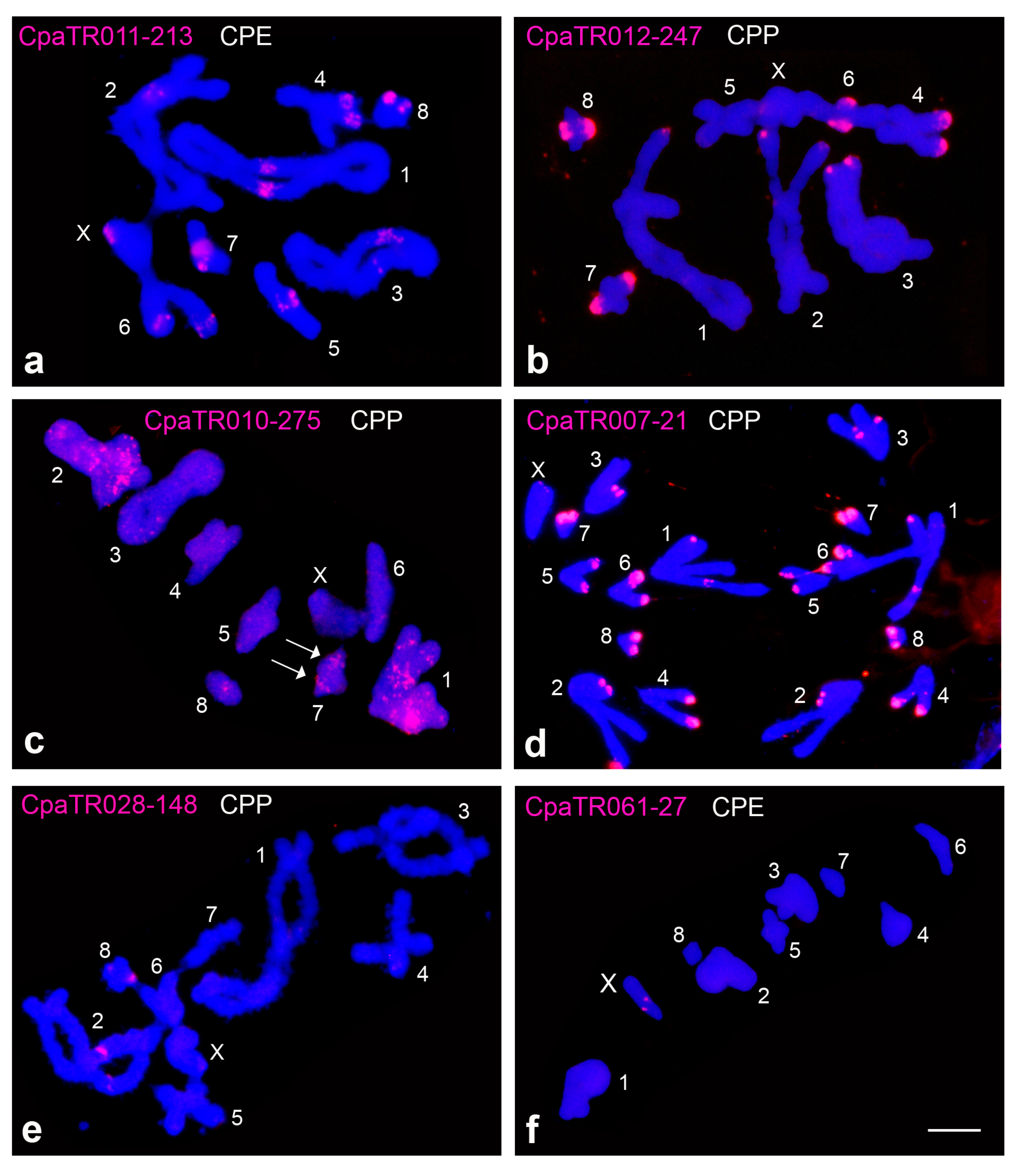 Genes 14 00397 g001 Genes 14 00397 g001
