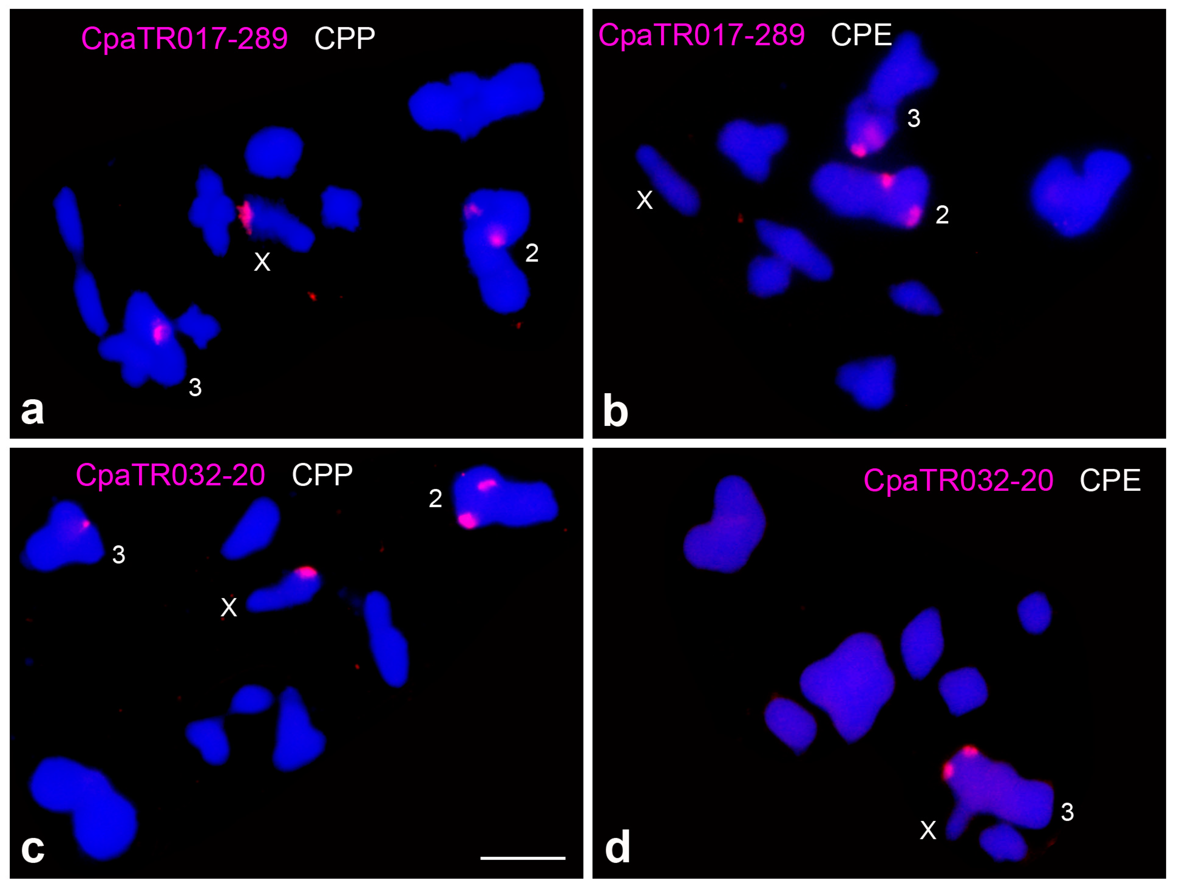 Genes 14 00397 g003 Genes 14 00397 g003