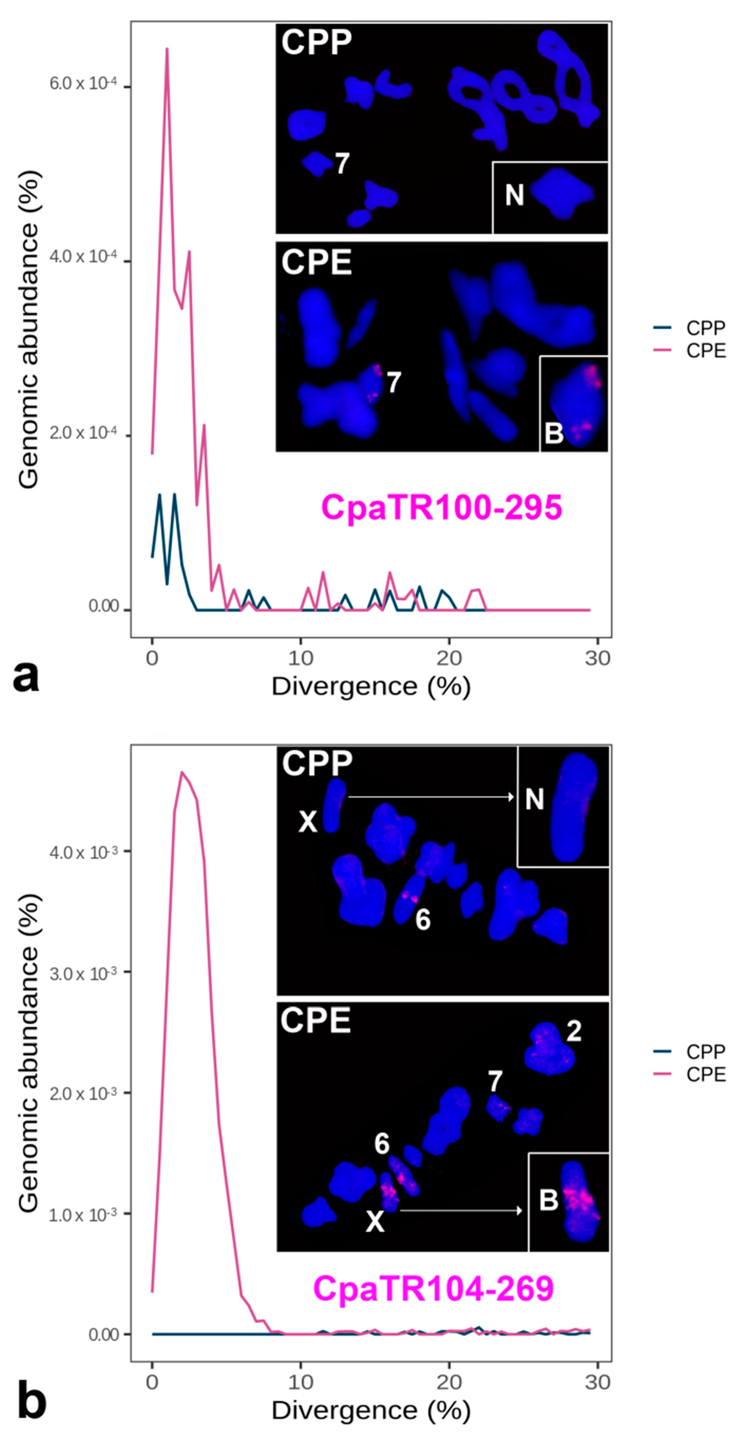 Genes 14 00397 g007 Genes 14 00397 g007