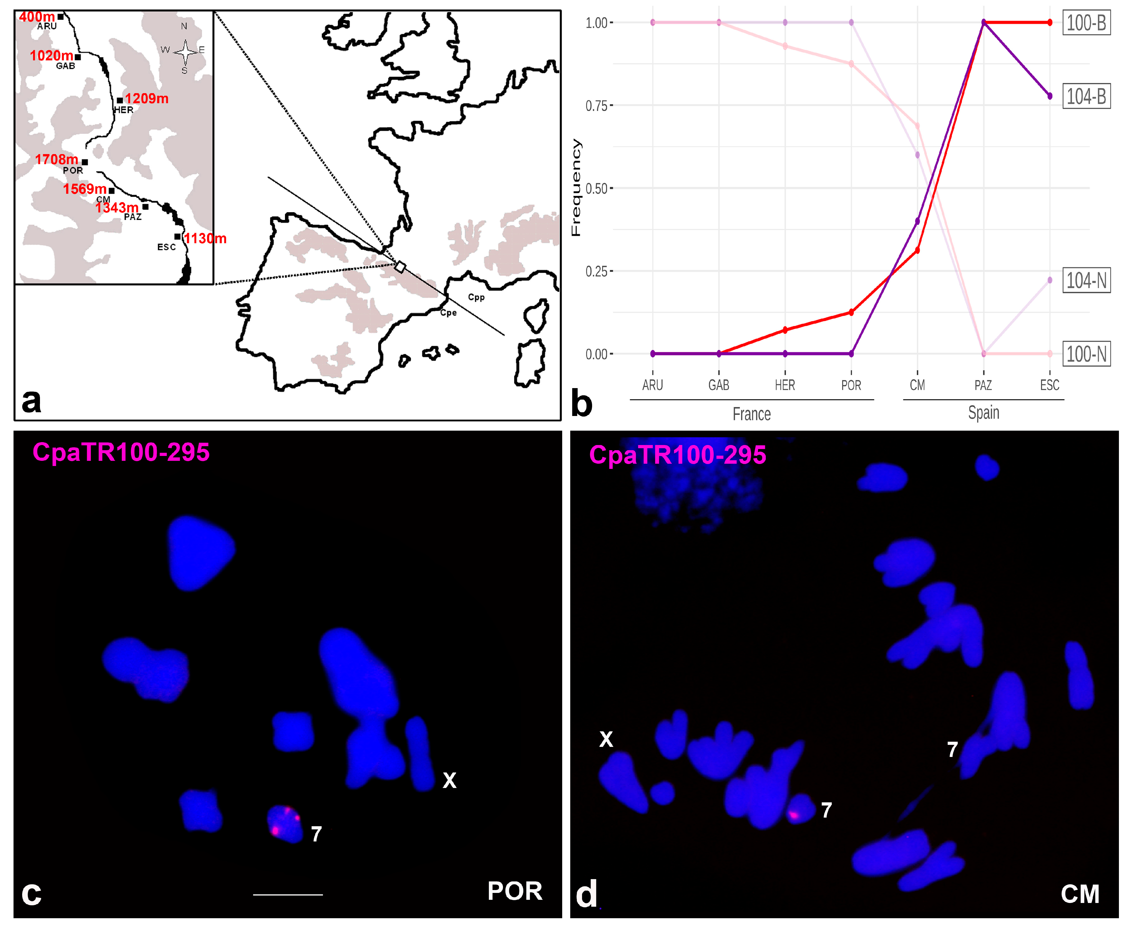 Genes 14 00397 g008 Genes 14 00397 g008