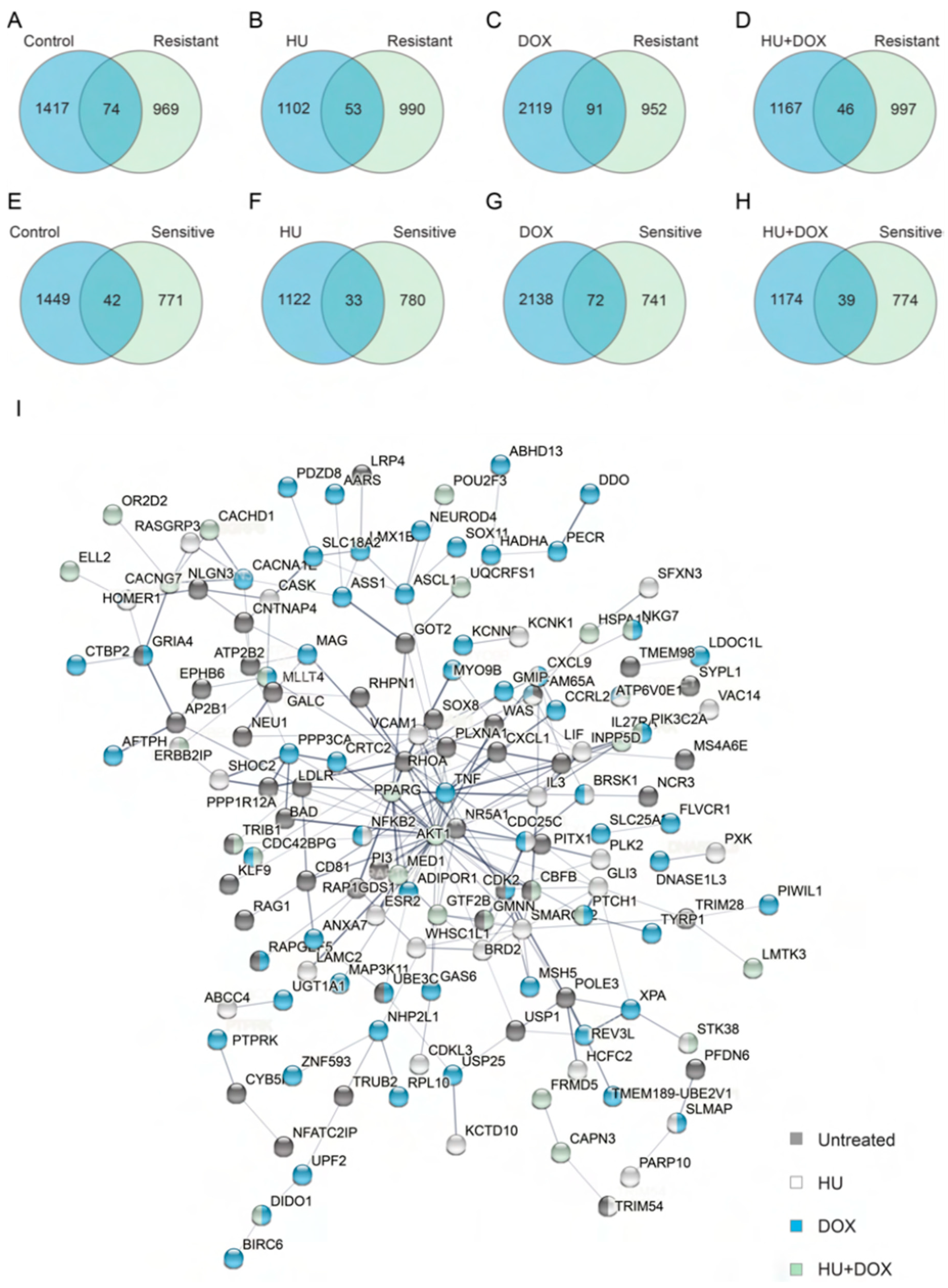 Genes 14 00398 g005a