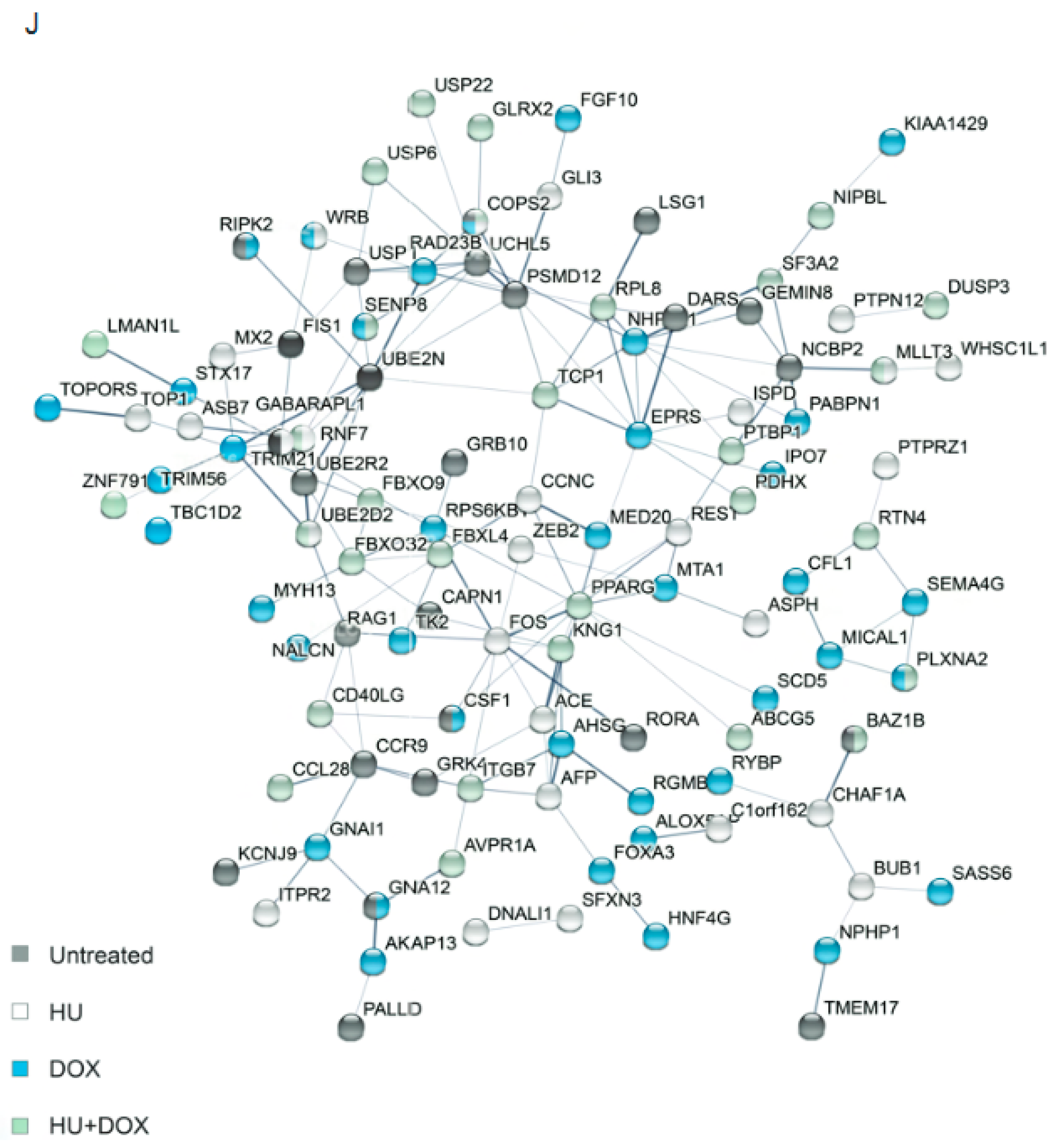 Genes 14 00398 g005b