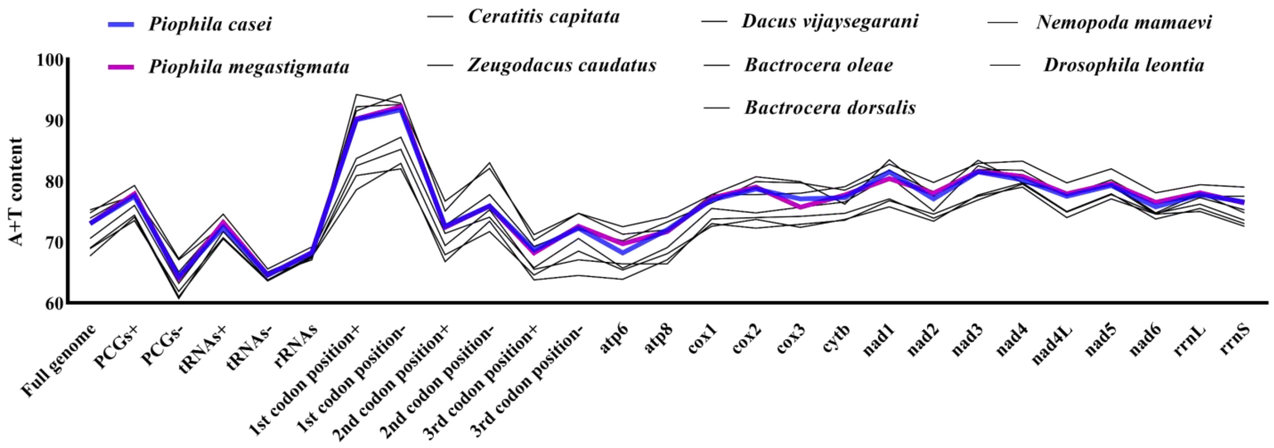 Genes 14 00883 g002 Genes 14 00883 g002