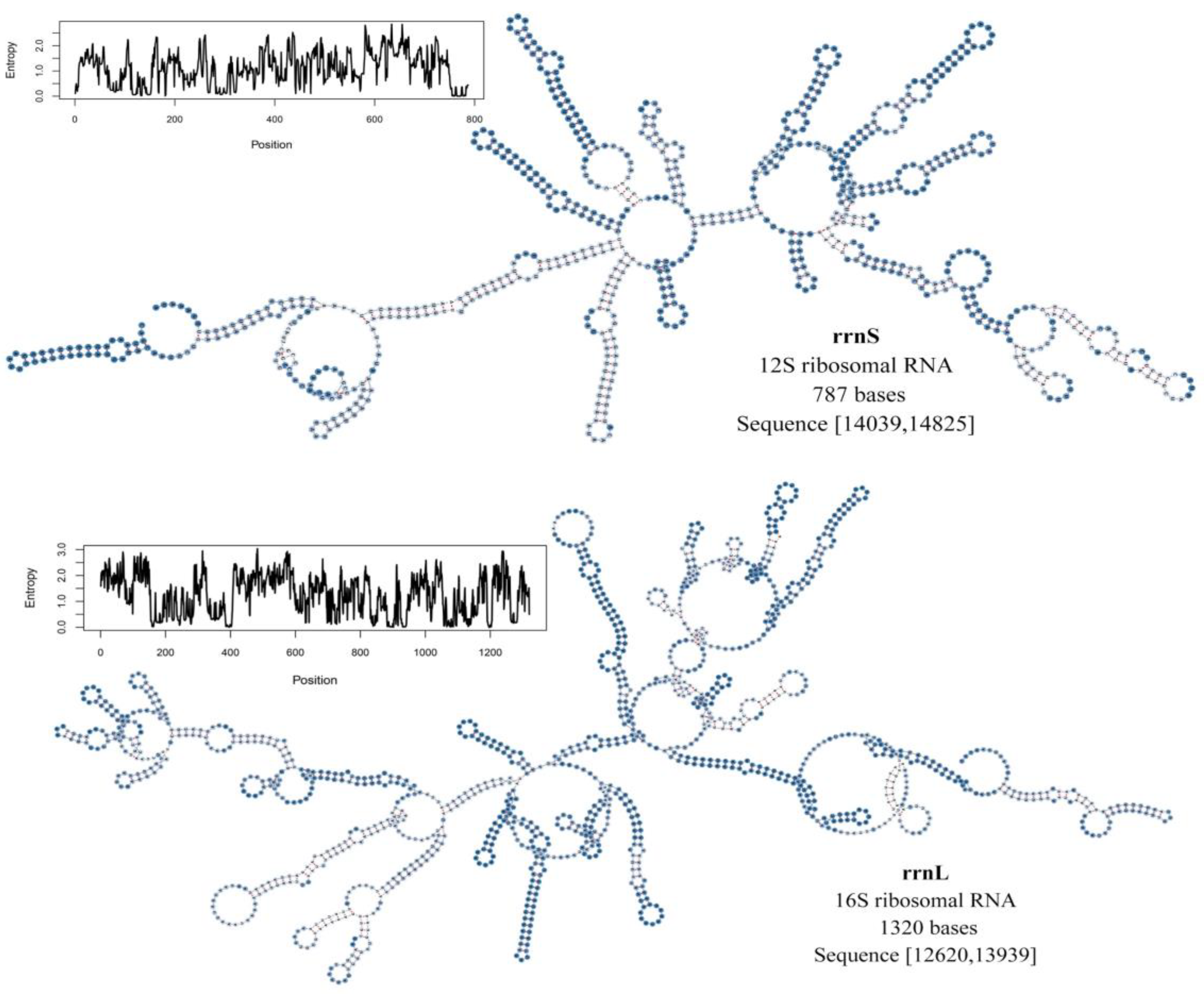 Genes 14 00883 g006 Genes 14 00883 g006