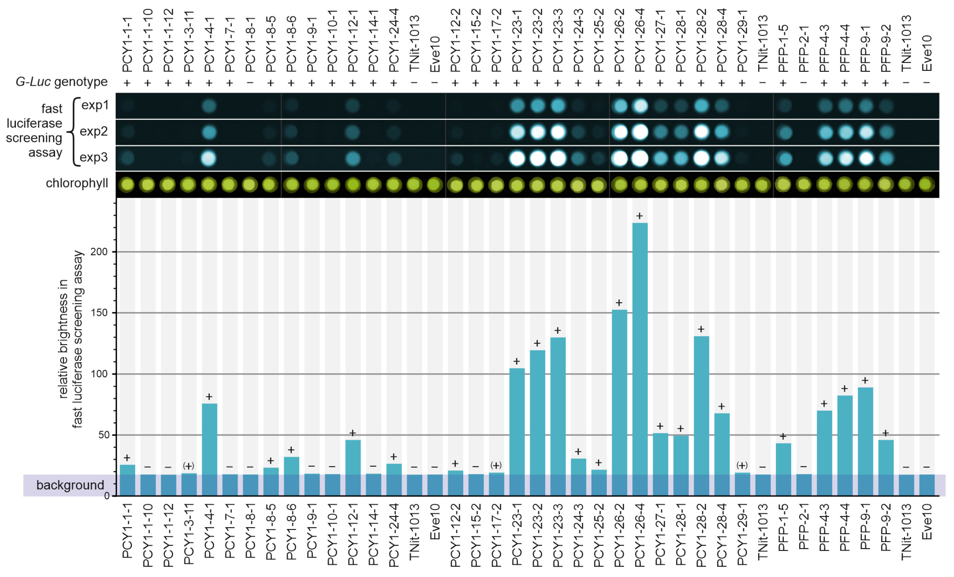 Genes 14 01389 g005