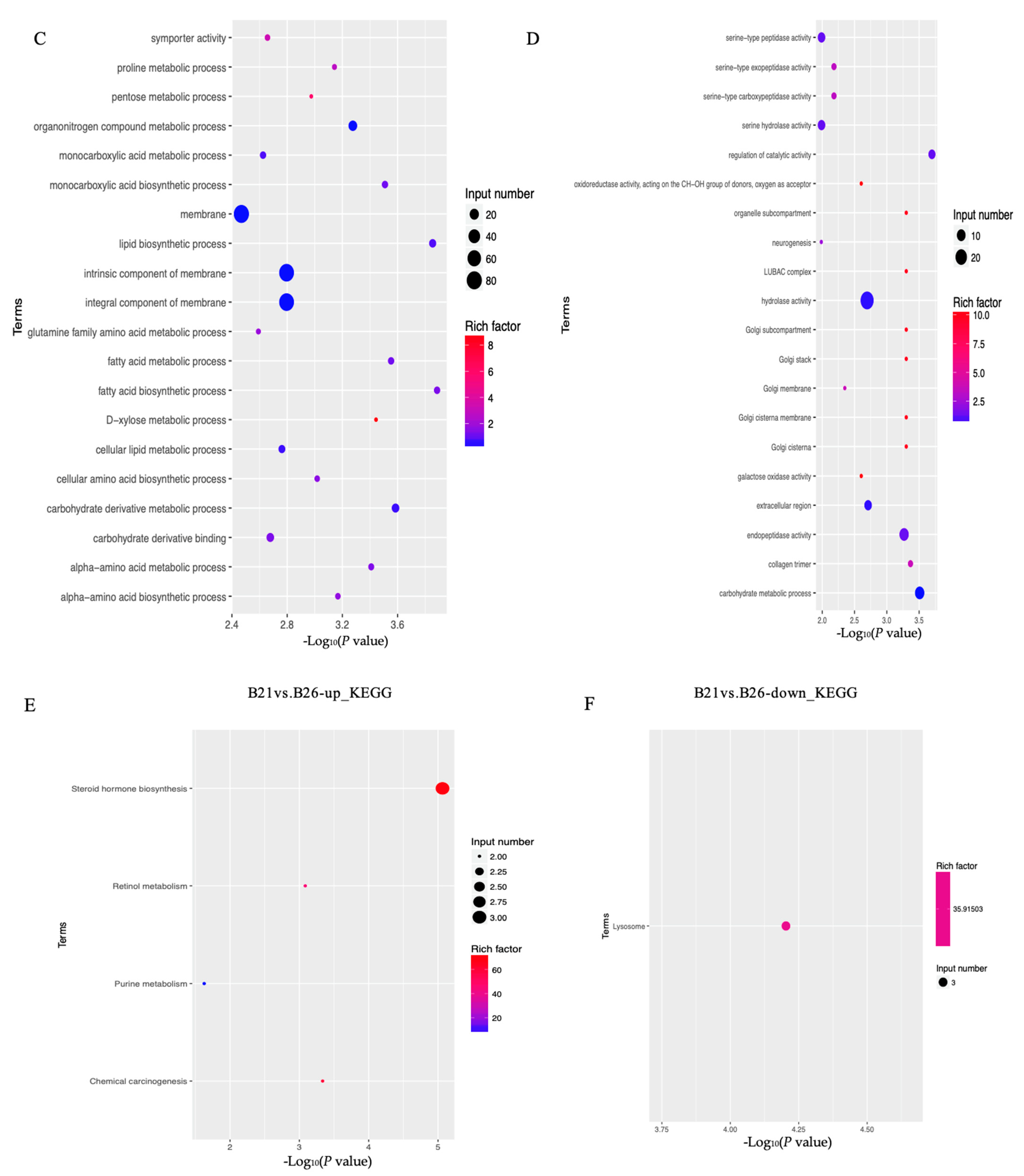 Genes 14 01978 g002b