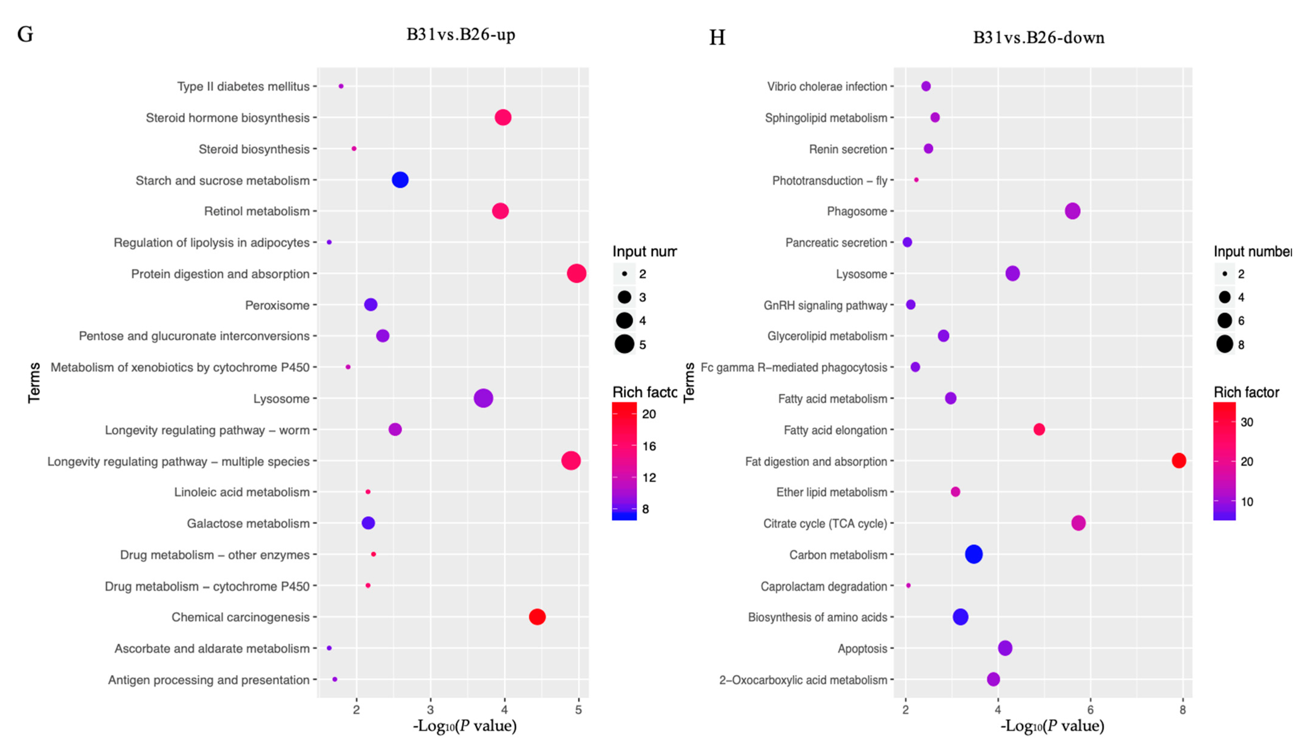 Genes 14 01978 g002c
