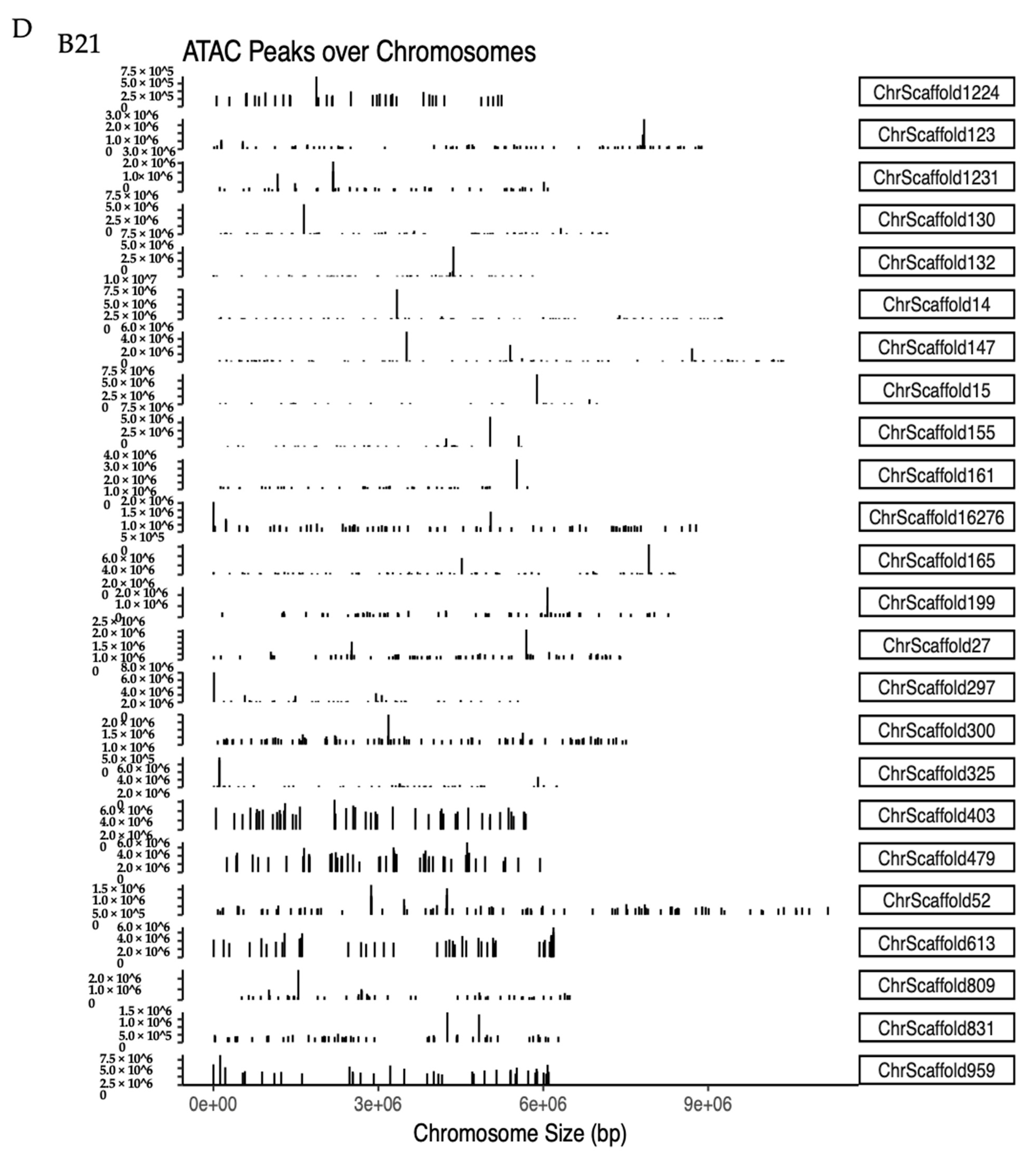 Genes 14 01978 g004b