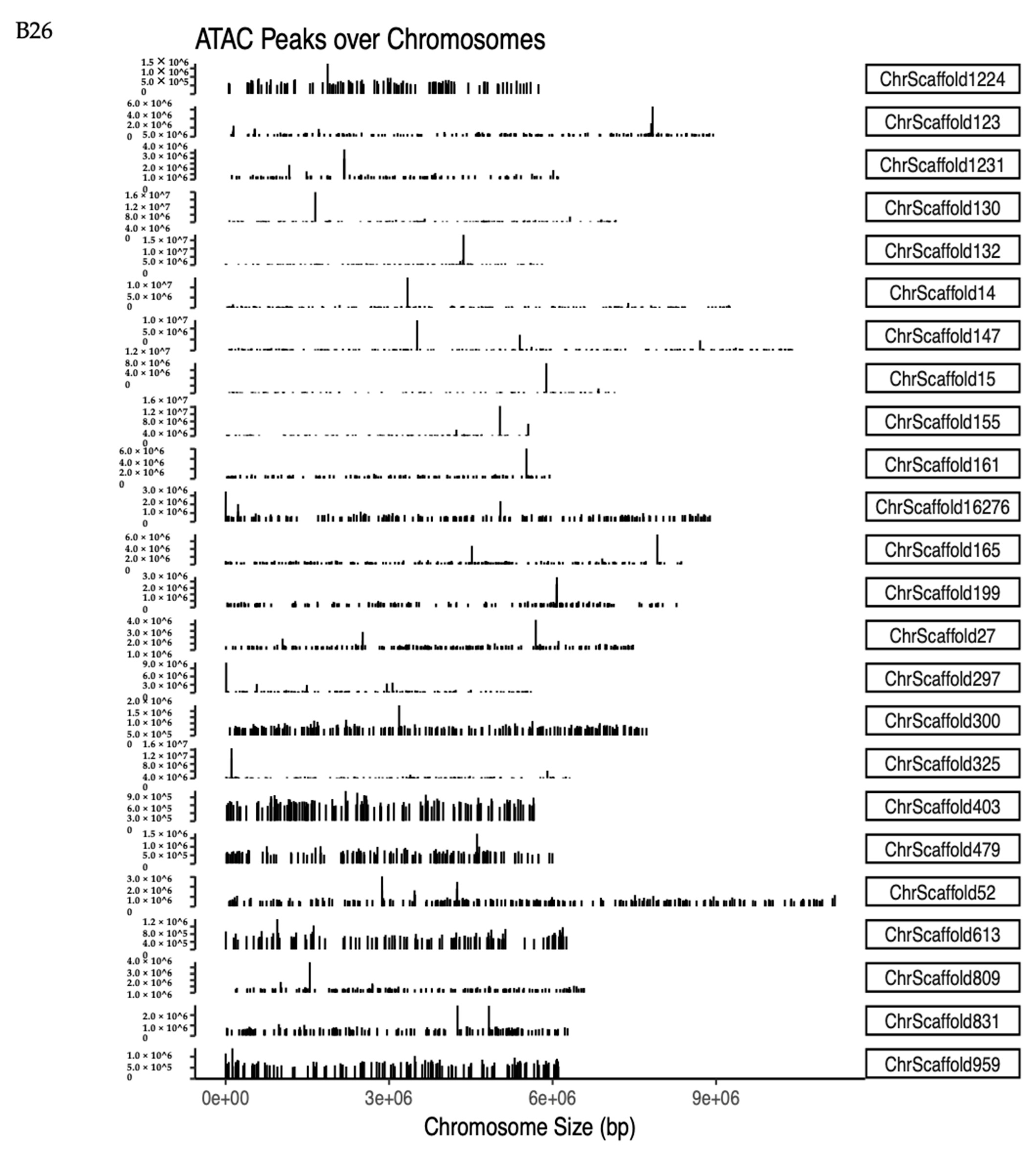 Genes 14 01978 g004c