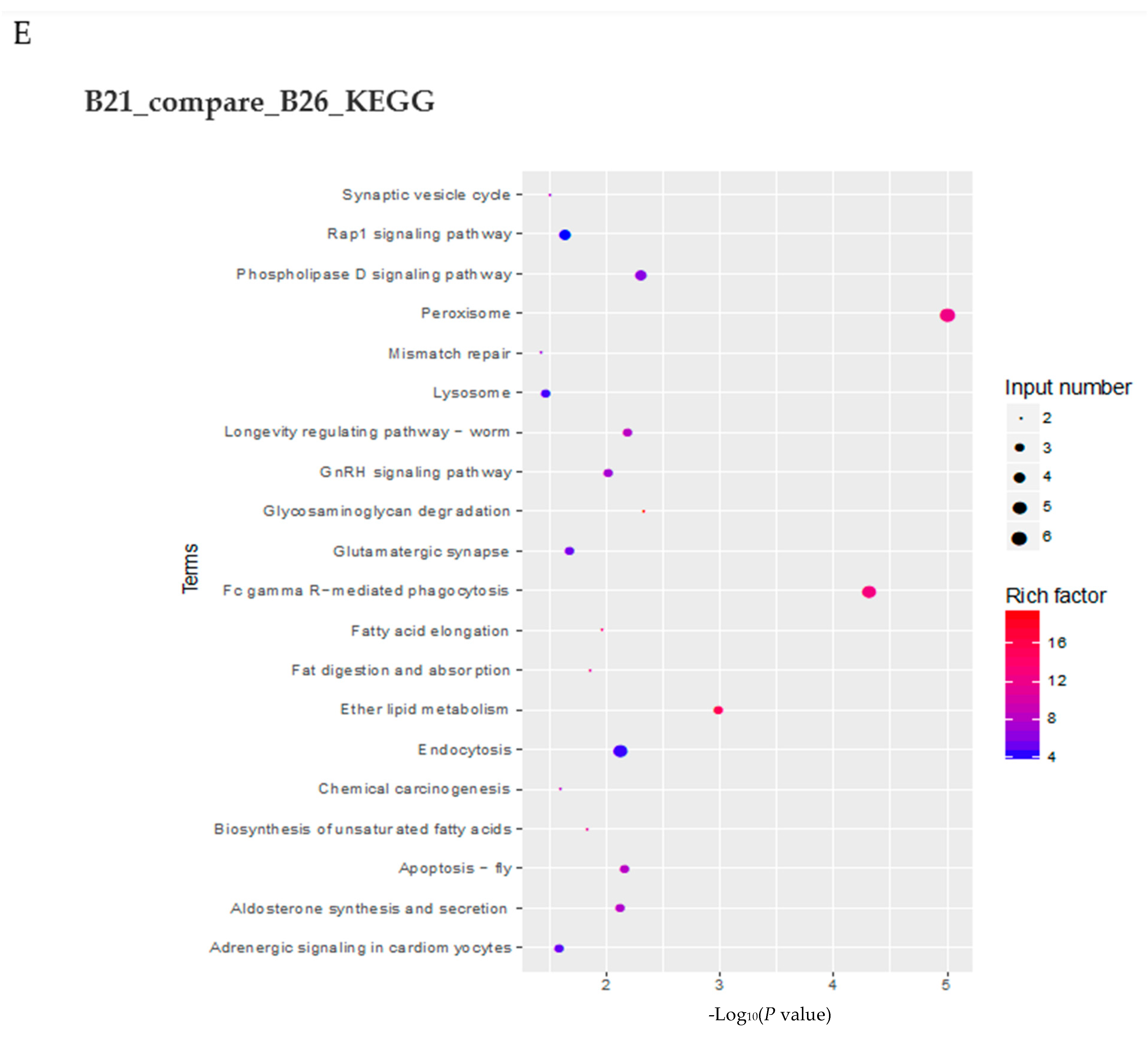 Genes 14 01978 g004e