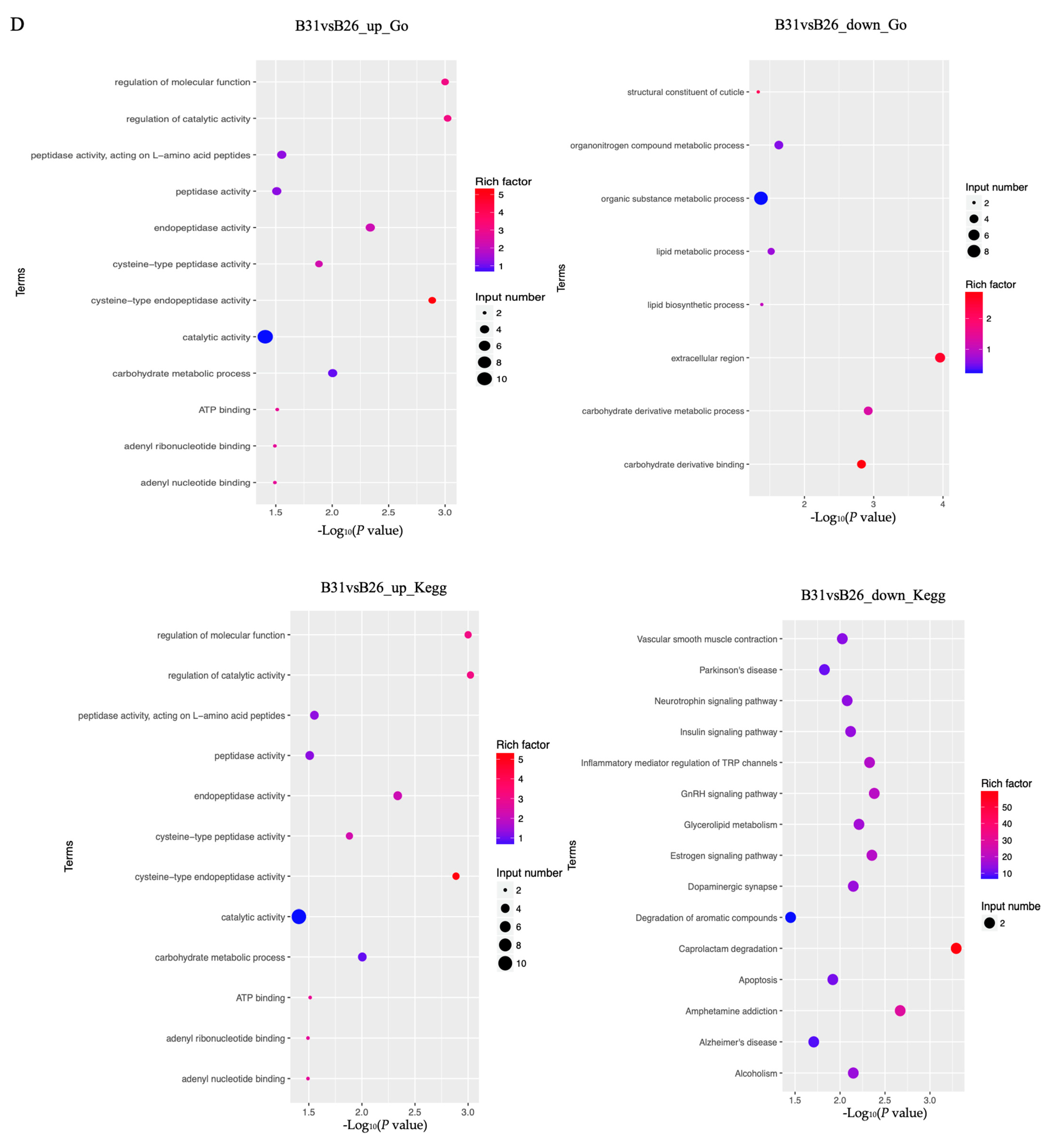 Genes 14 01978 g005b