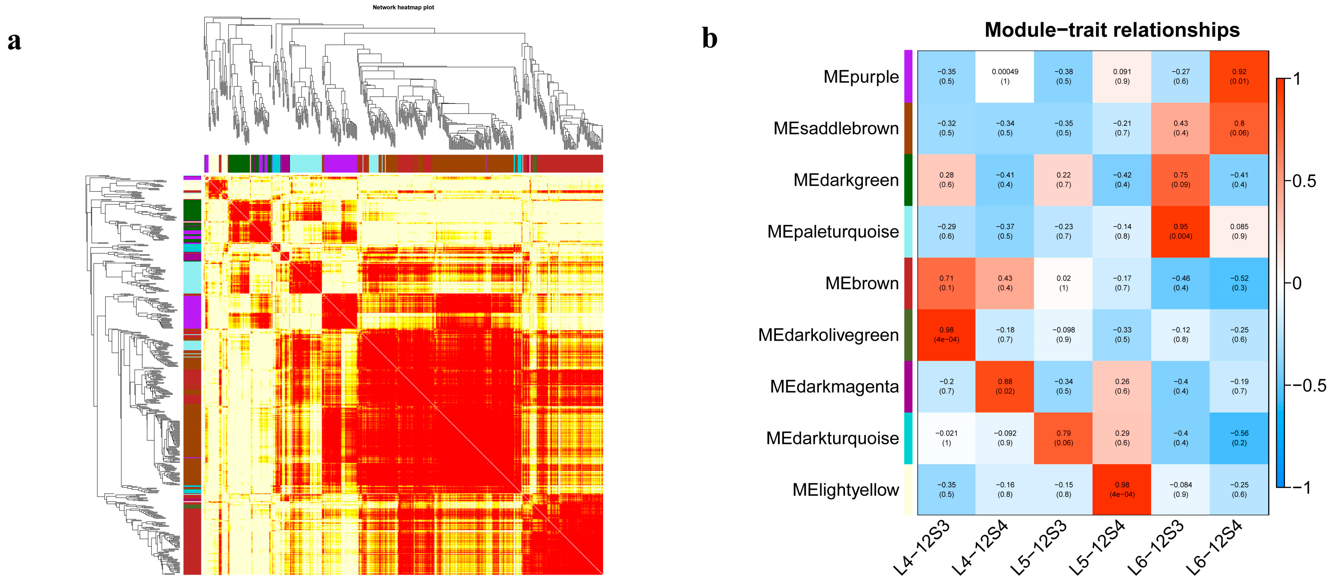 Genes 15 00036 g008