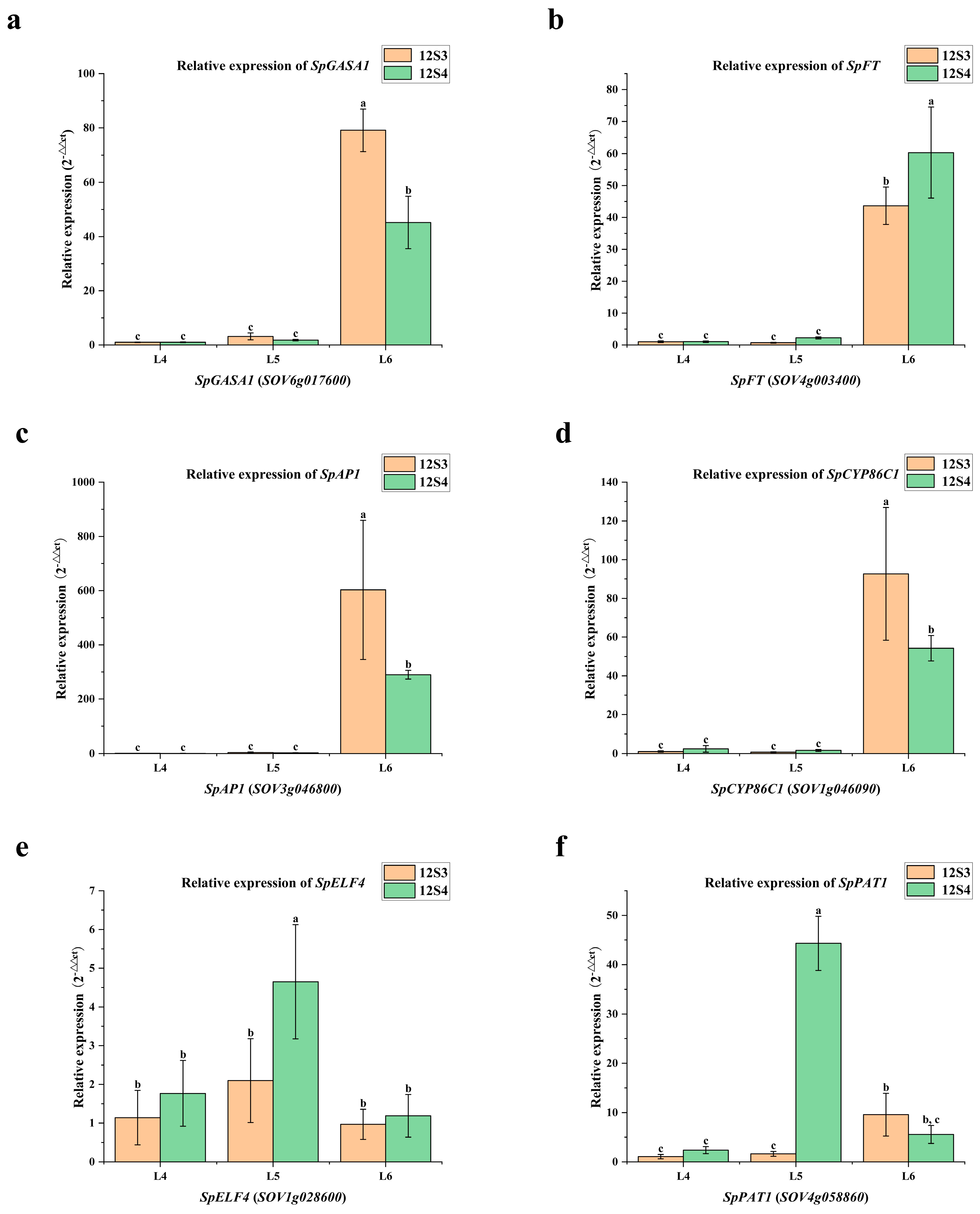 Genes 15 00036 g011