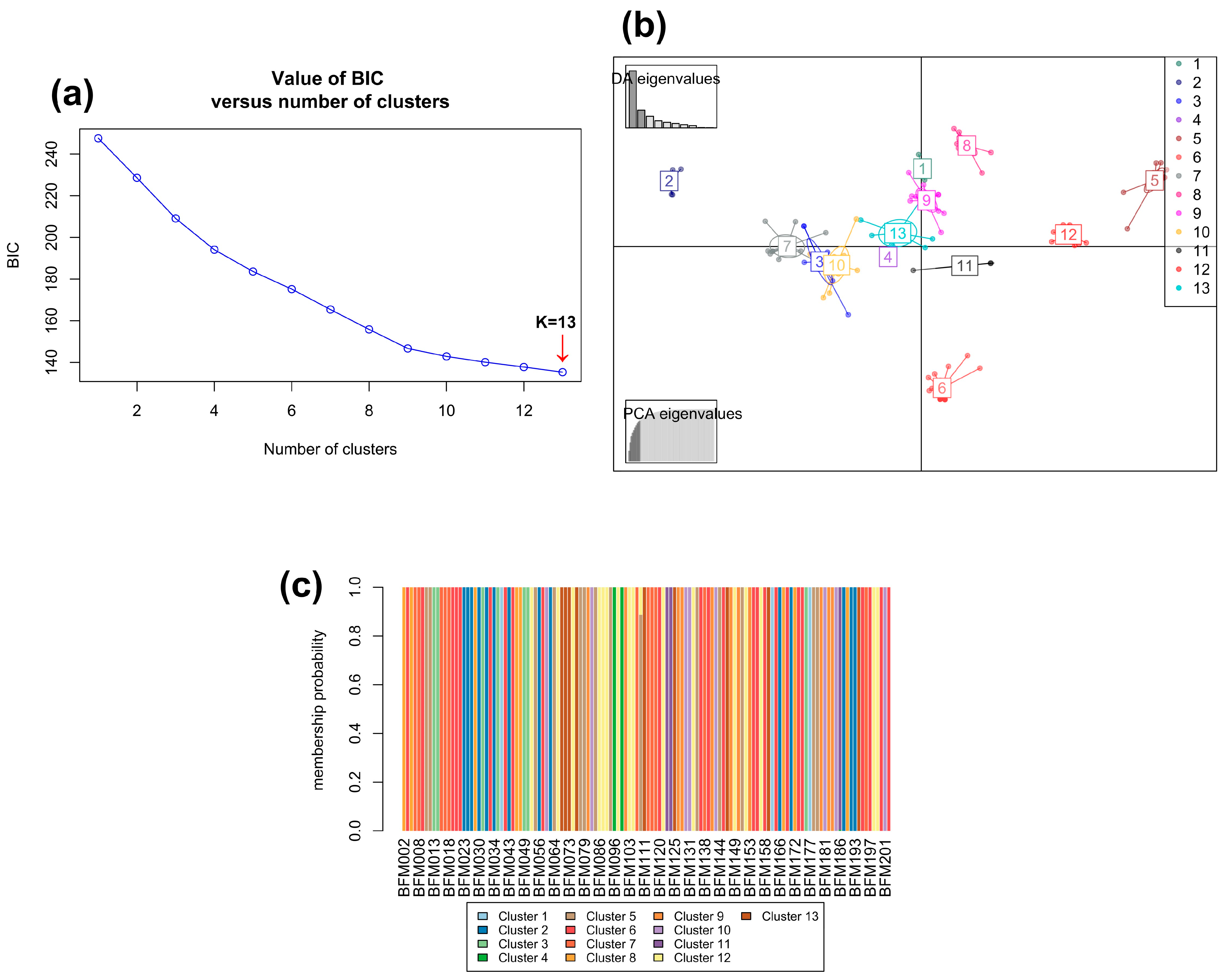 Genes 15 00073 g006