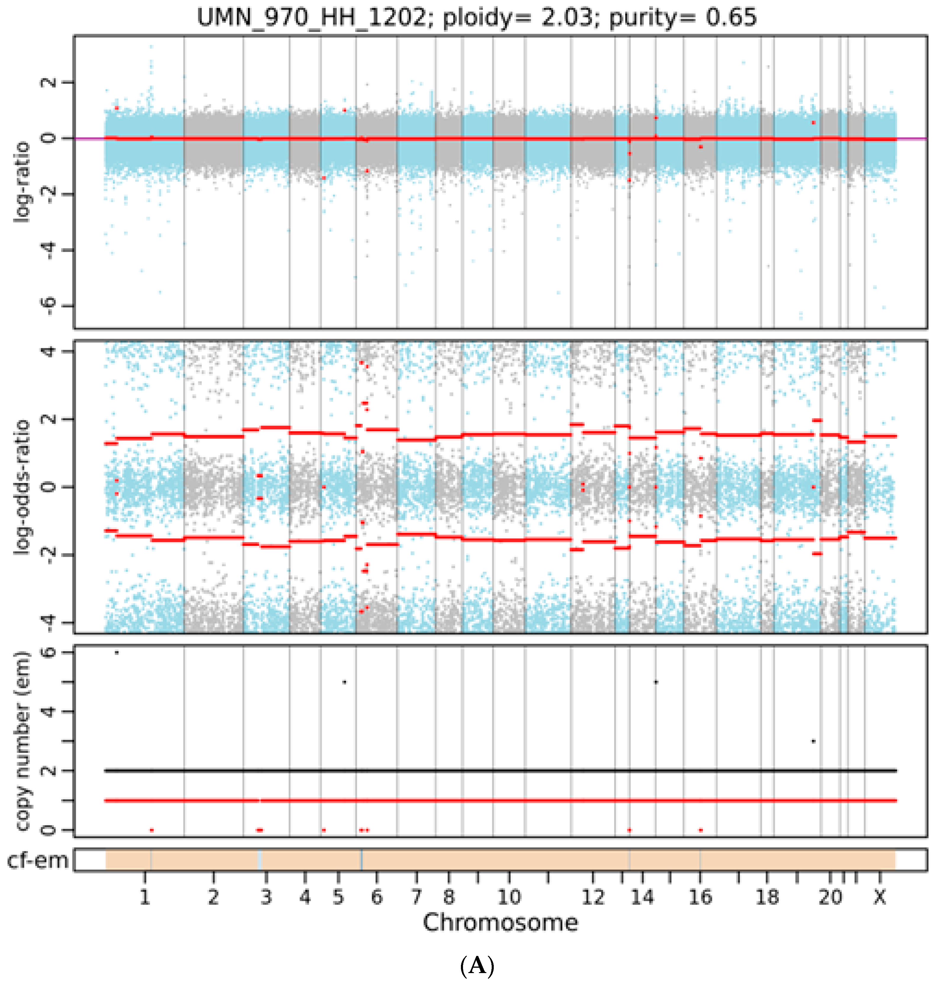 Genes 15 00357 g002a