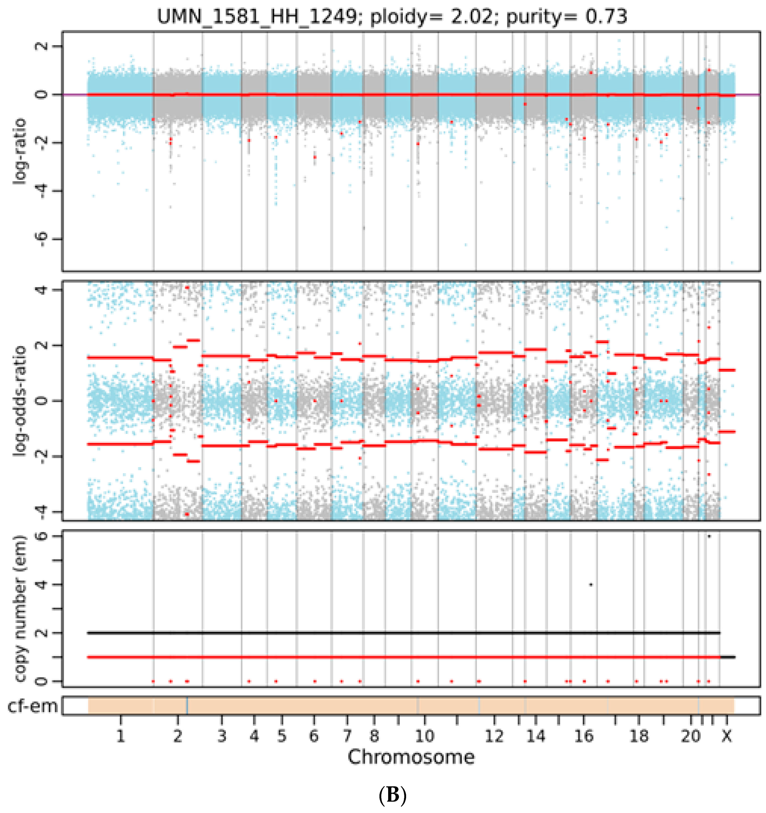 Genes 15 00357 g002b