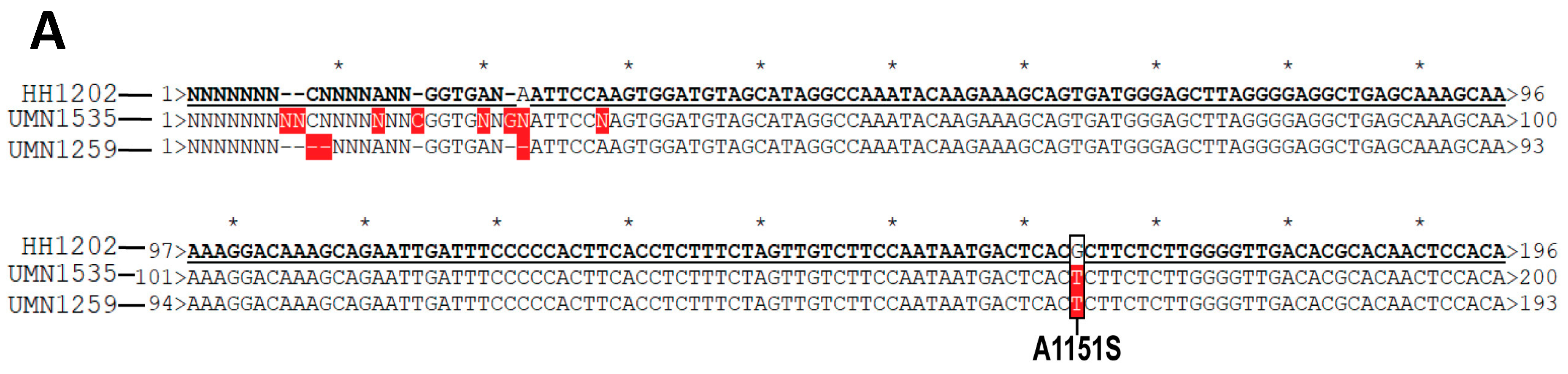 Genes 15 00357 g003a