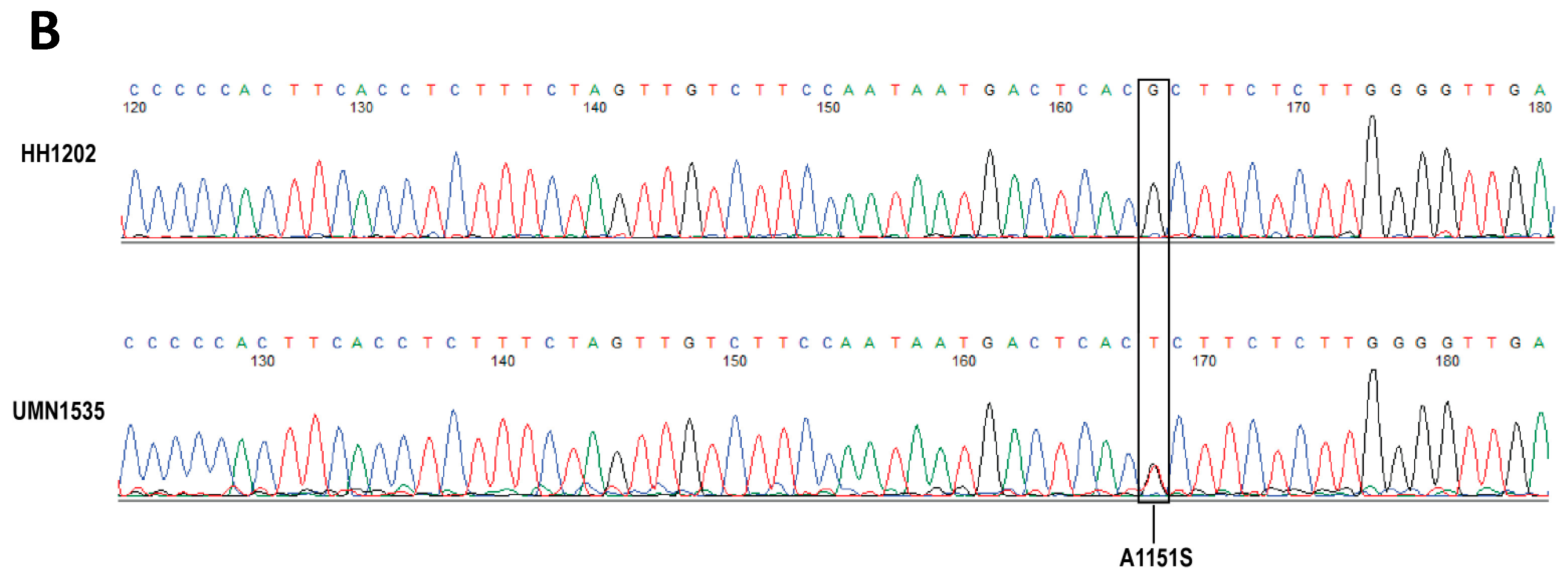 Genes 15 00357 g003b