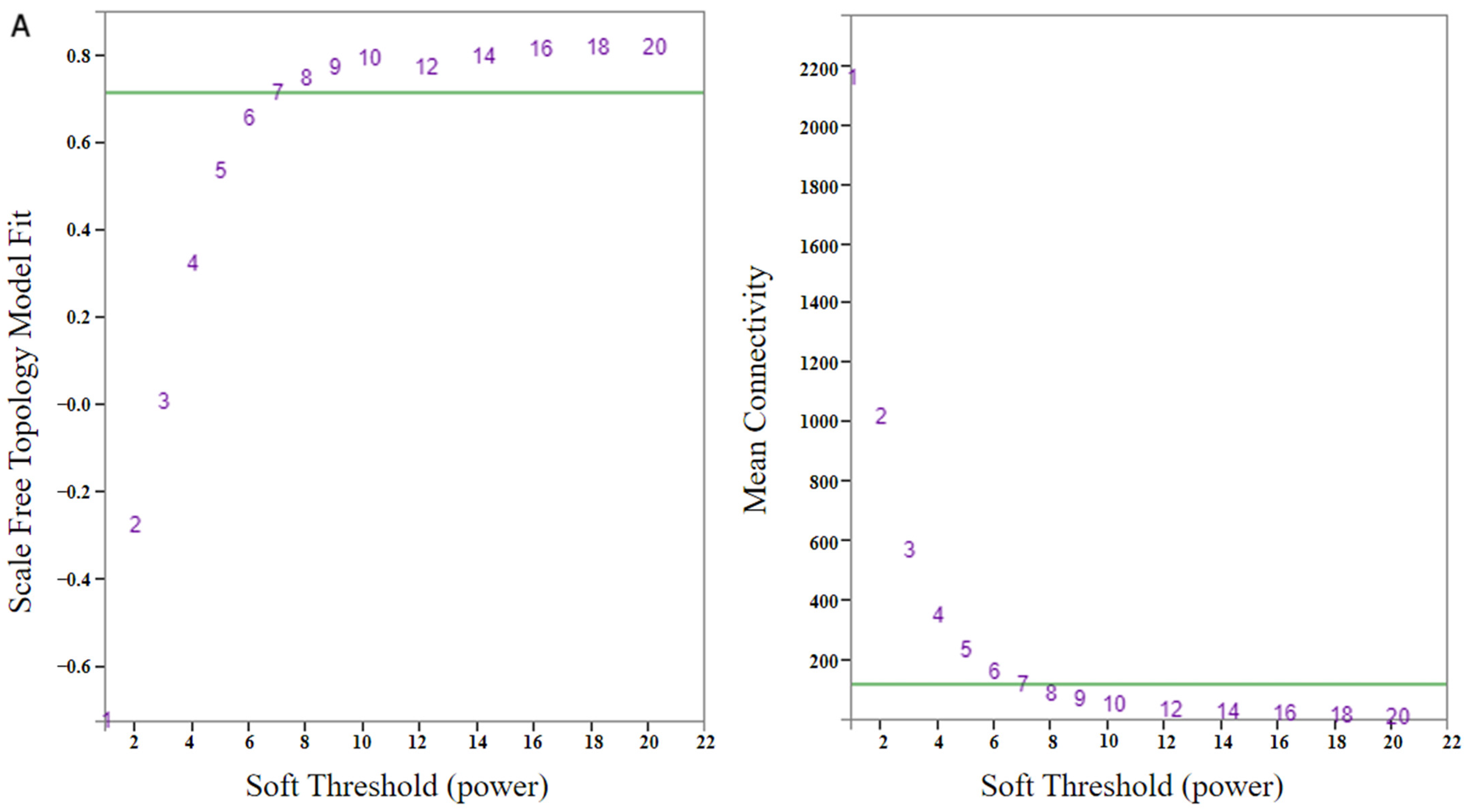 Genes 15 00566 g003a