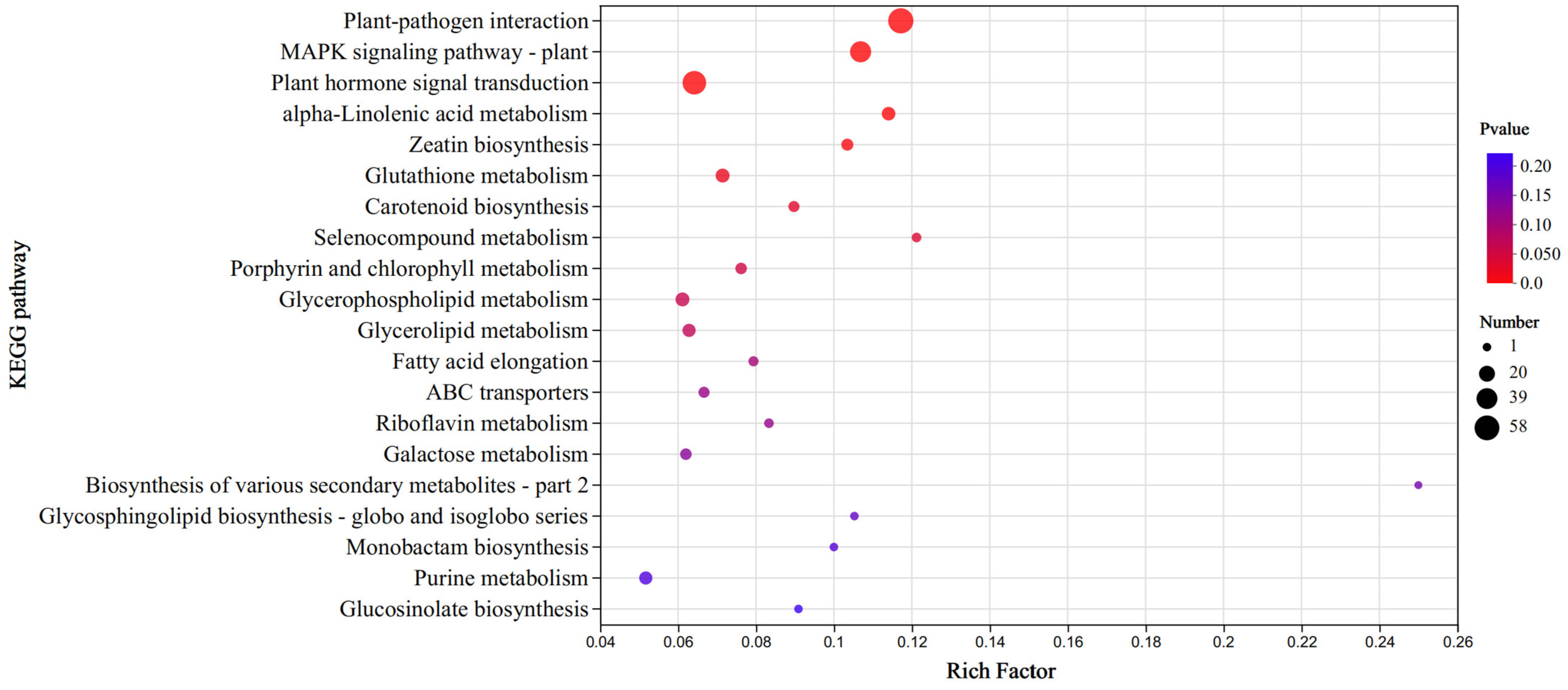 Genes 15 00566 g006