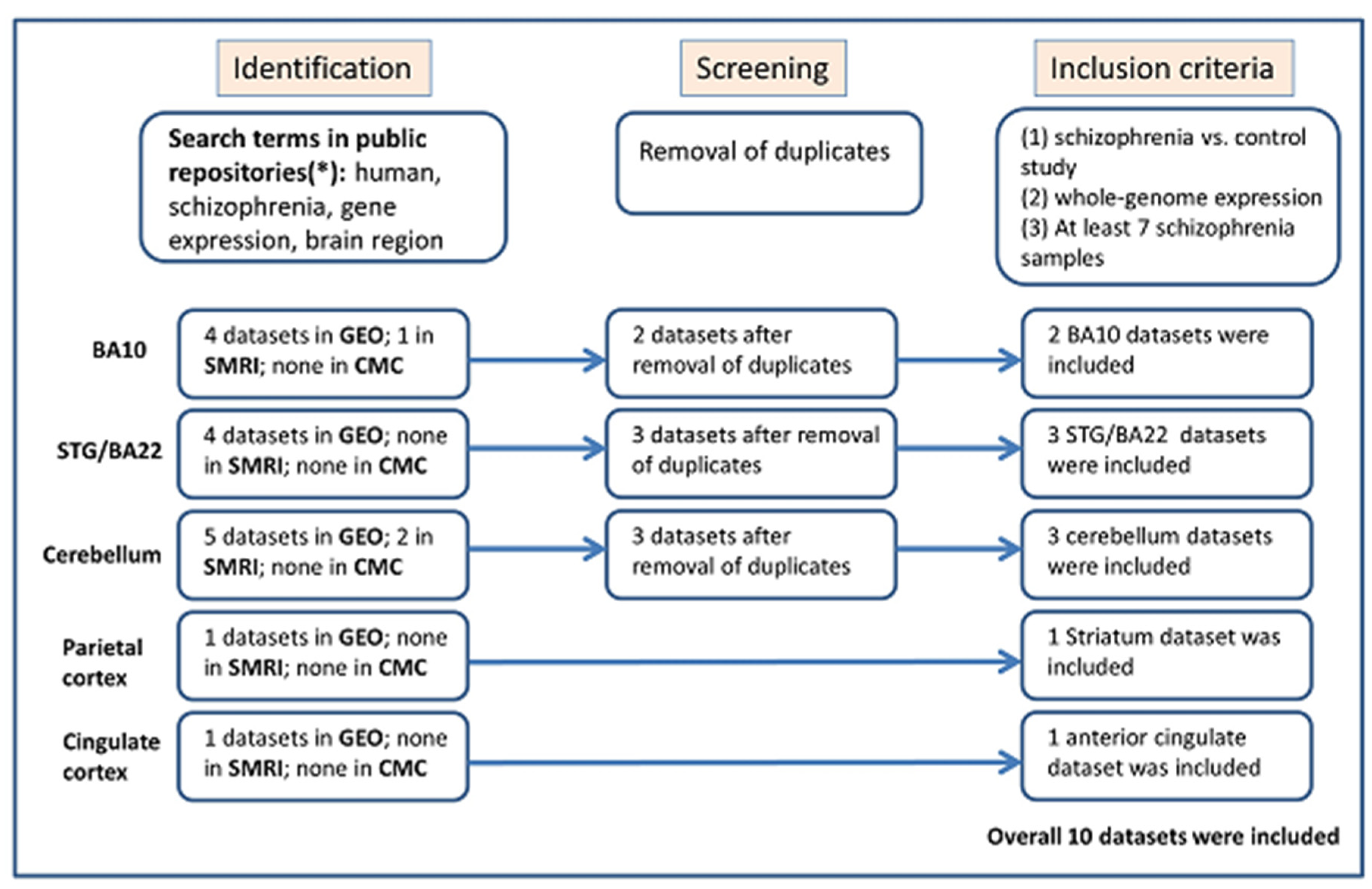 Genes 15 00609 g001
