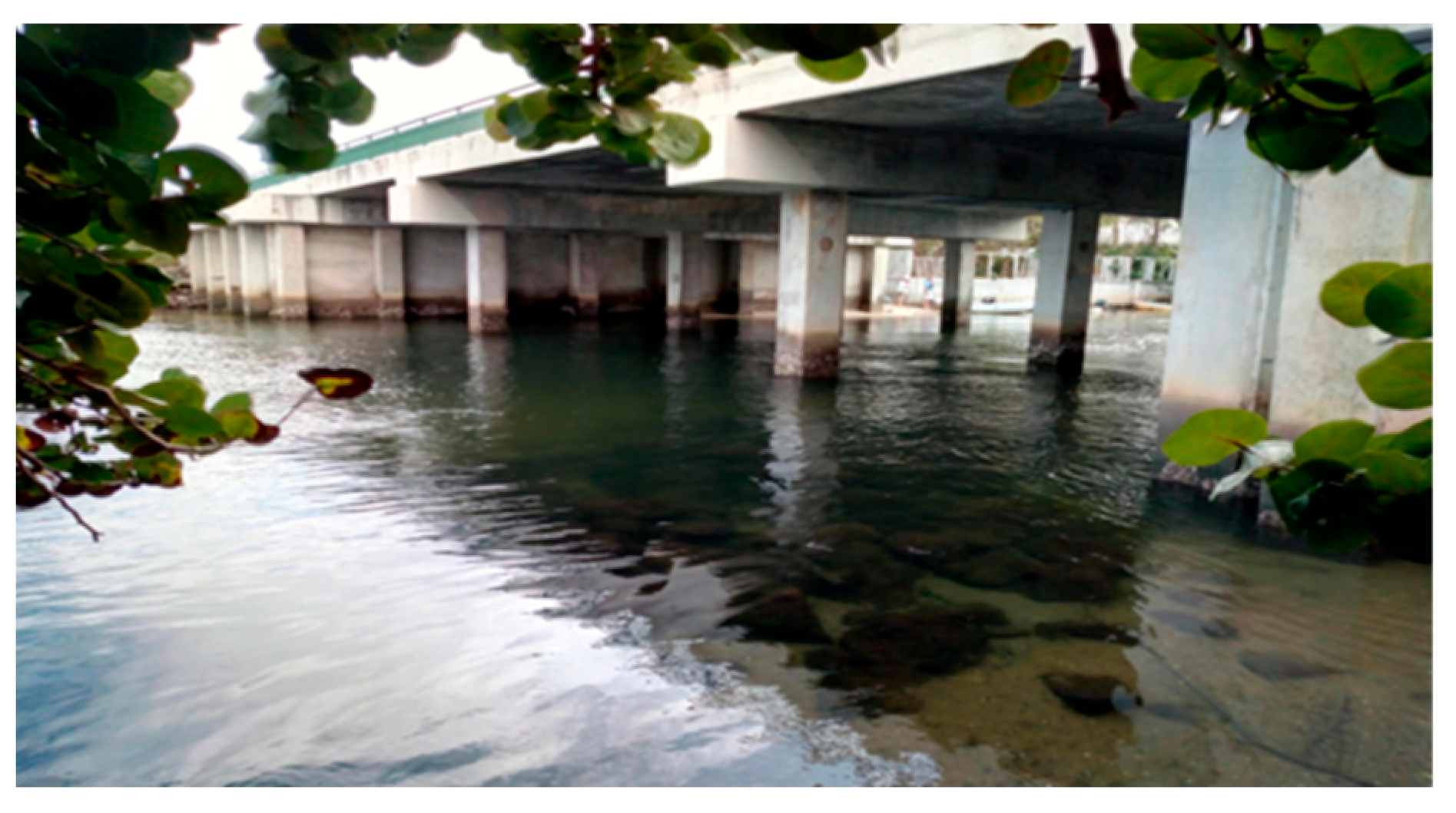 Geomatics 04 00010 g011