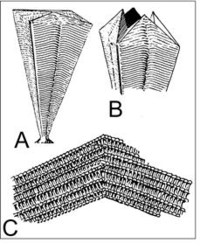 Geosciences 02 00001 g001 200