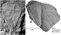 Geosciences 02 00001 g003 200