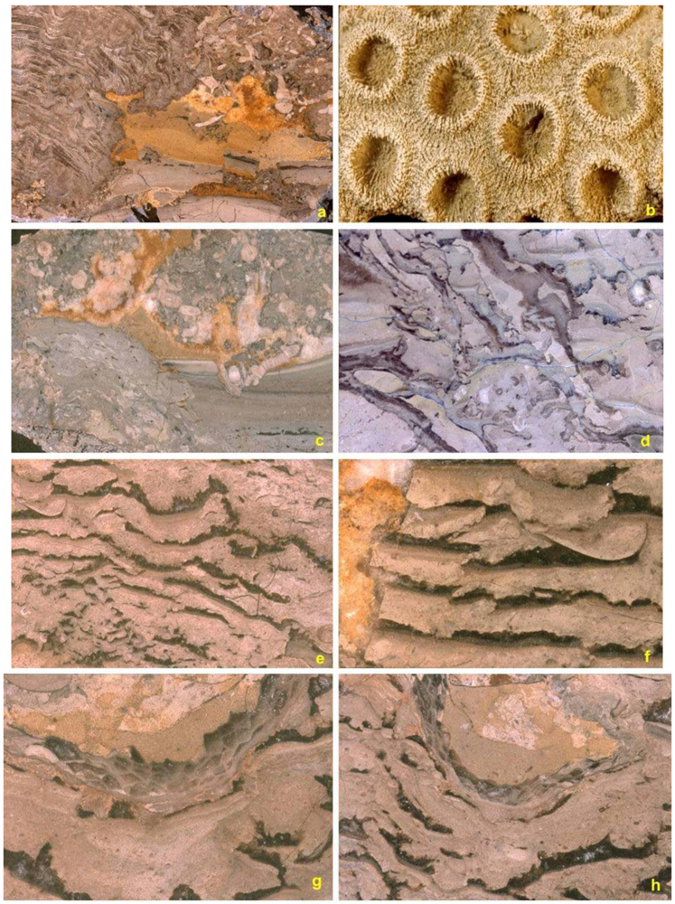 Geosciences 02 00064 g008 1024
