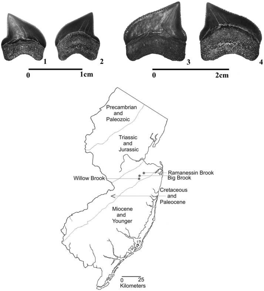 Geosciences 02 00109 g001 1024