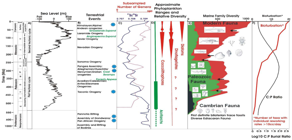 Geosciences 02 00130 g001 1024