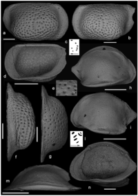 Geosciences 02 00147 g003 200