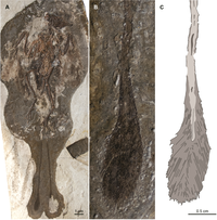 Geosciences 02 00157 g006 200