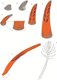 Geosciences 02 00157 g009 200