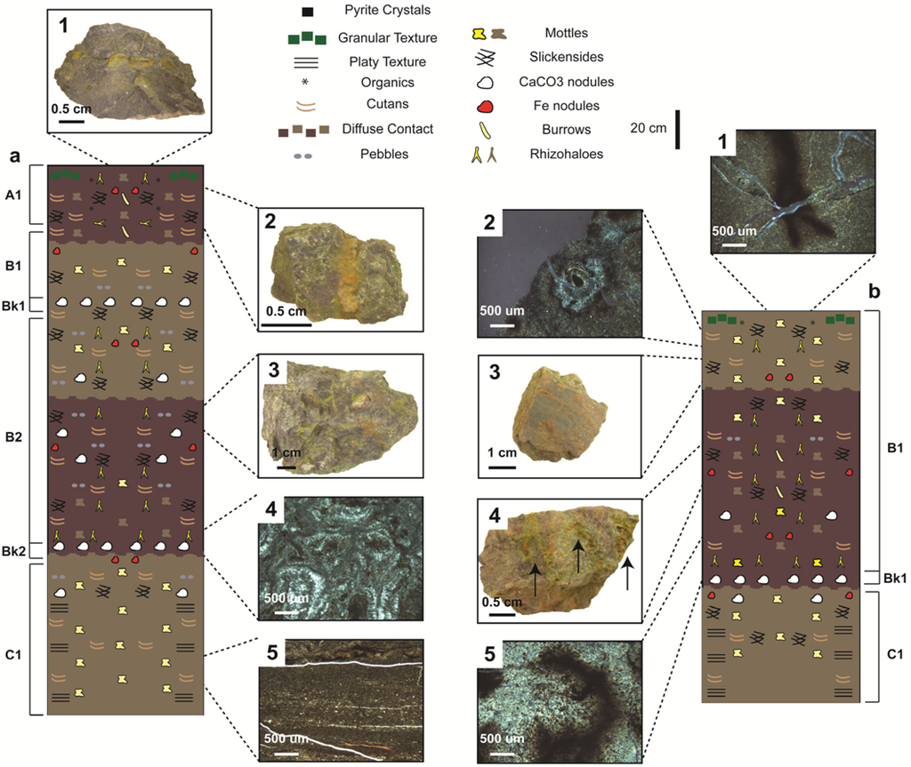 Geosciences 02 00178 g003 1024