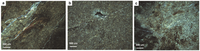 Geosciences 02 00178 g006 200