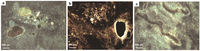 Geosciences 02 00178 g007 200