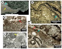 Geosciences 02 00221 g003 200