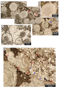 Geosciences 02 00221 g004 200