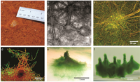 Geosciences 02 00235 g001 200