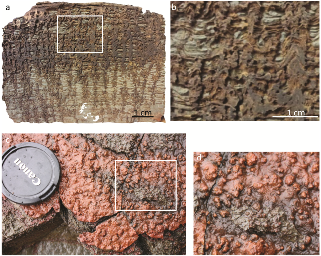 Geosciences 02 00235 g009 1024