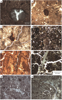 Geosciences 02 00260 g007 200